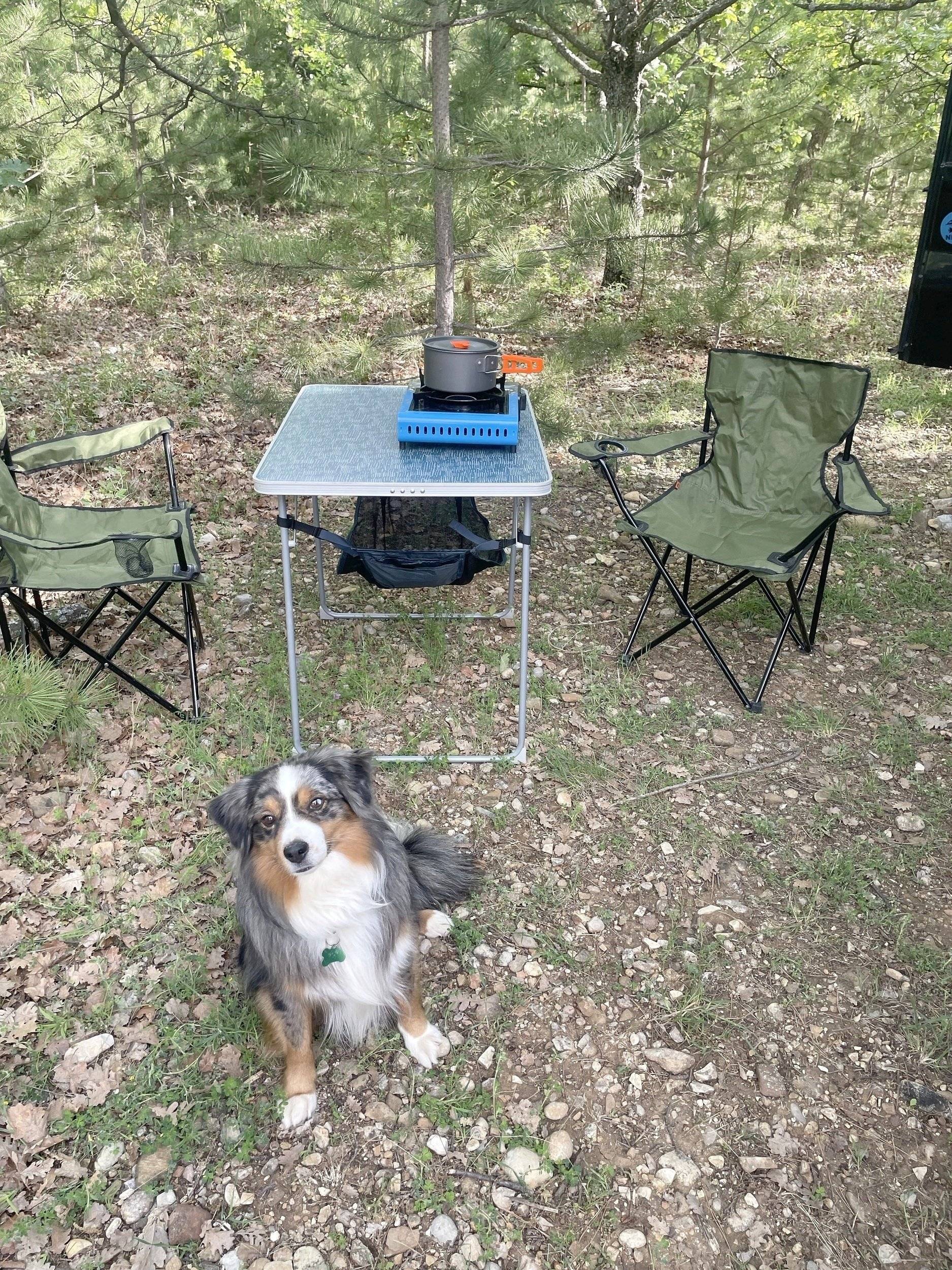 Renault Trafic 2 l 115 ch