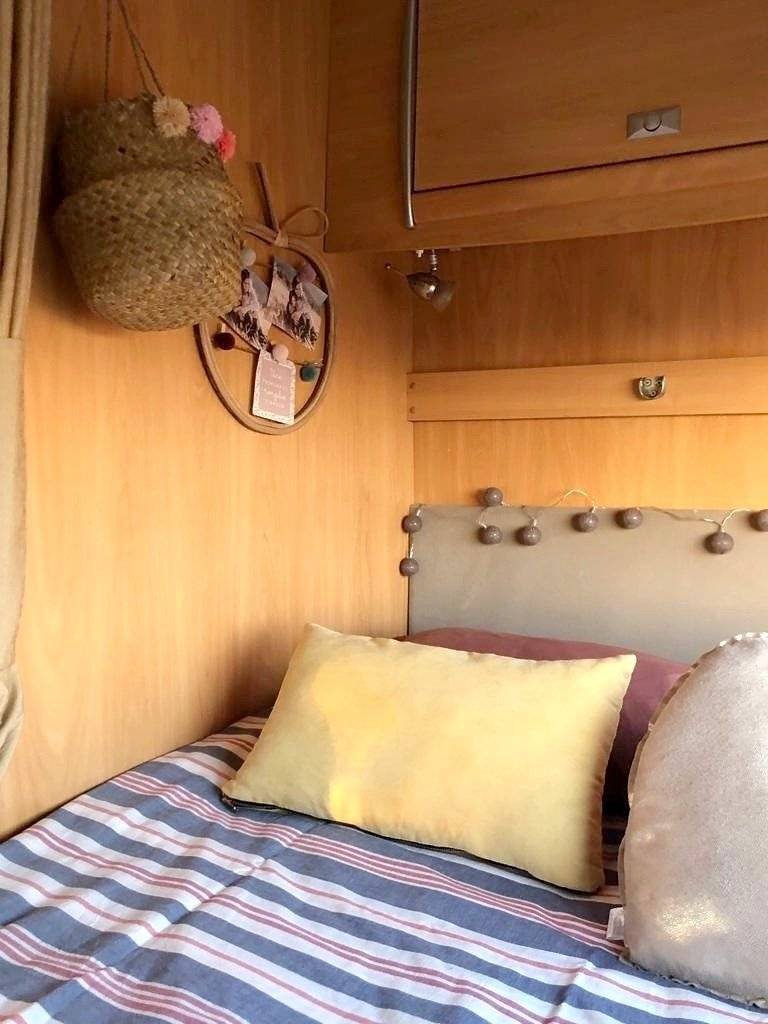 Challenger Genesis 36