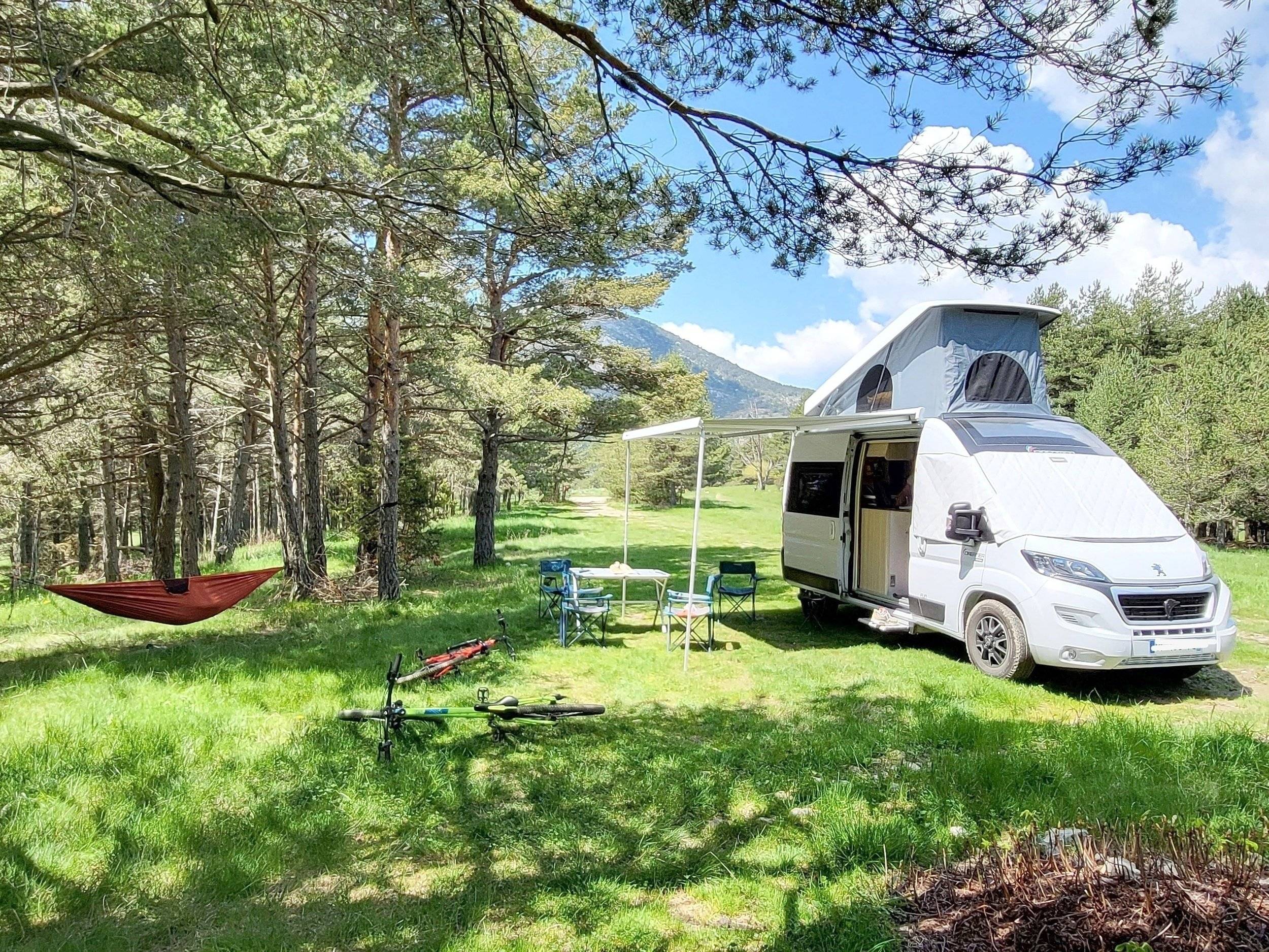 Dreamer Dreamer White Addict D43 UP