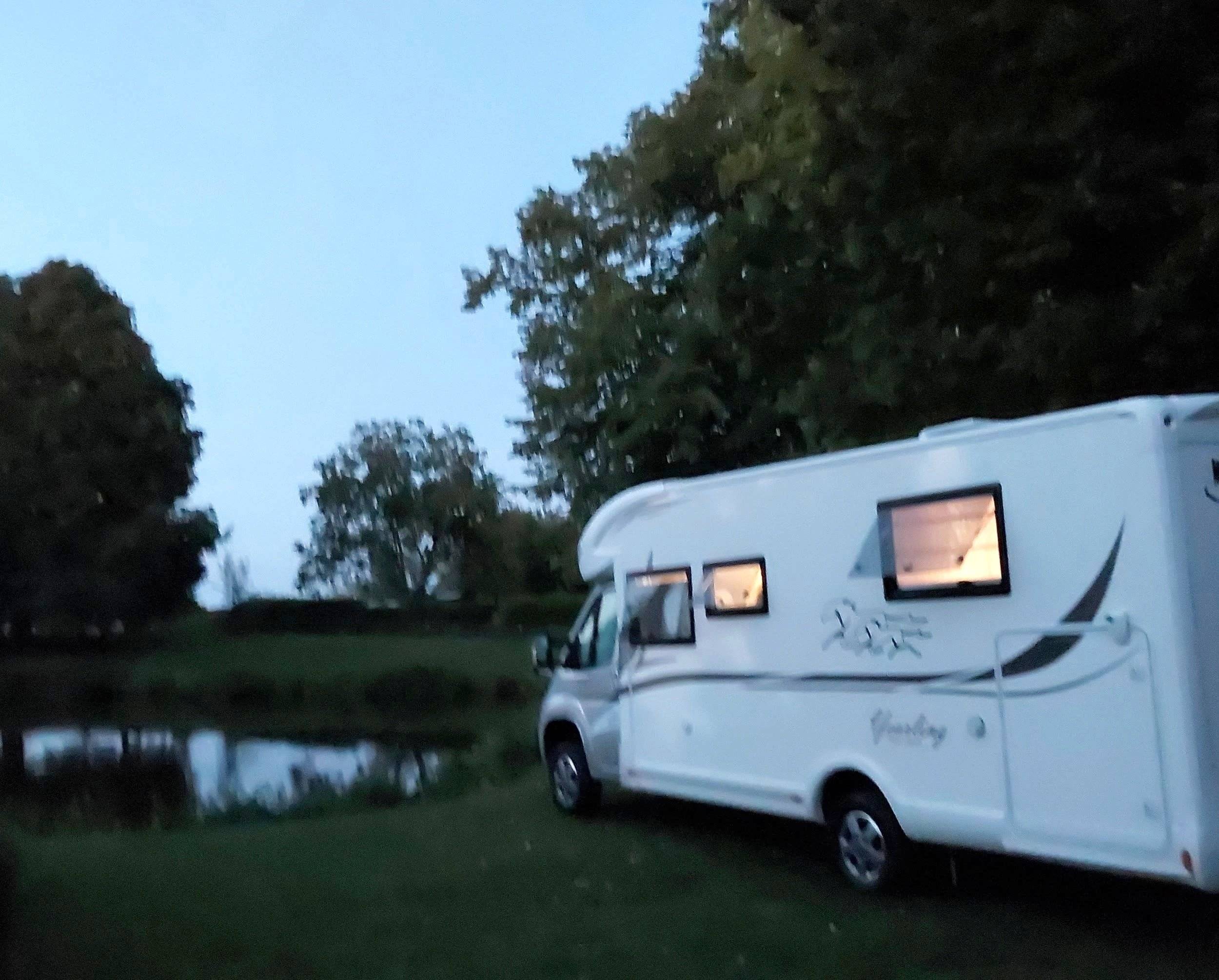 Mclouis Yearling 89G