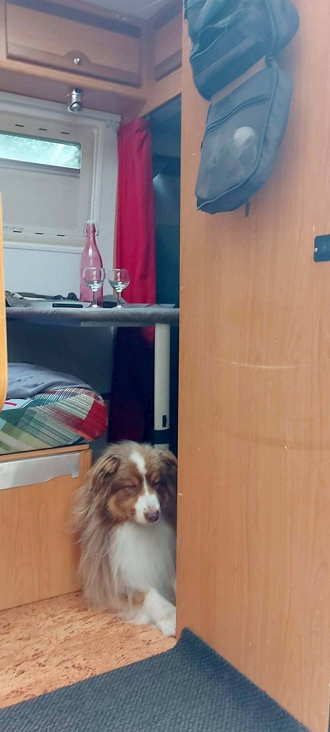 Moncayo liberty van 4 FIAT Ducato 2,8 JTD 18 Q Maxi