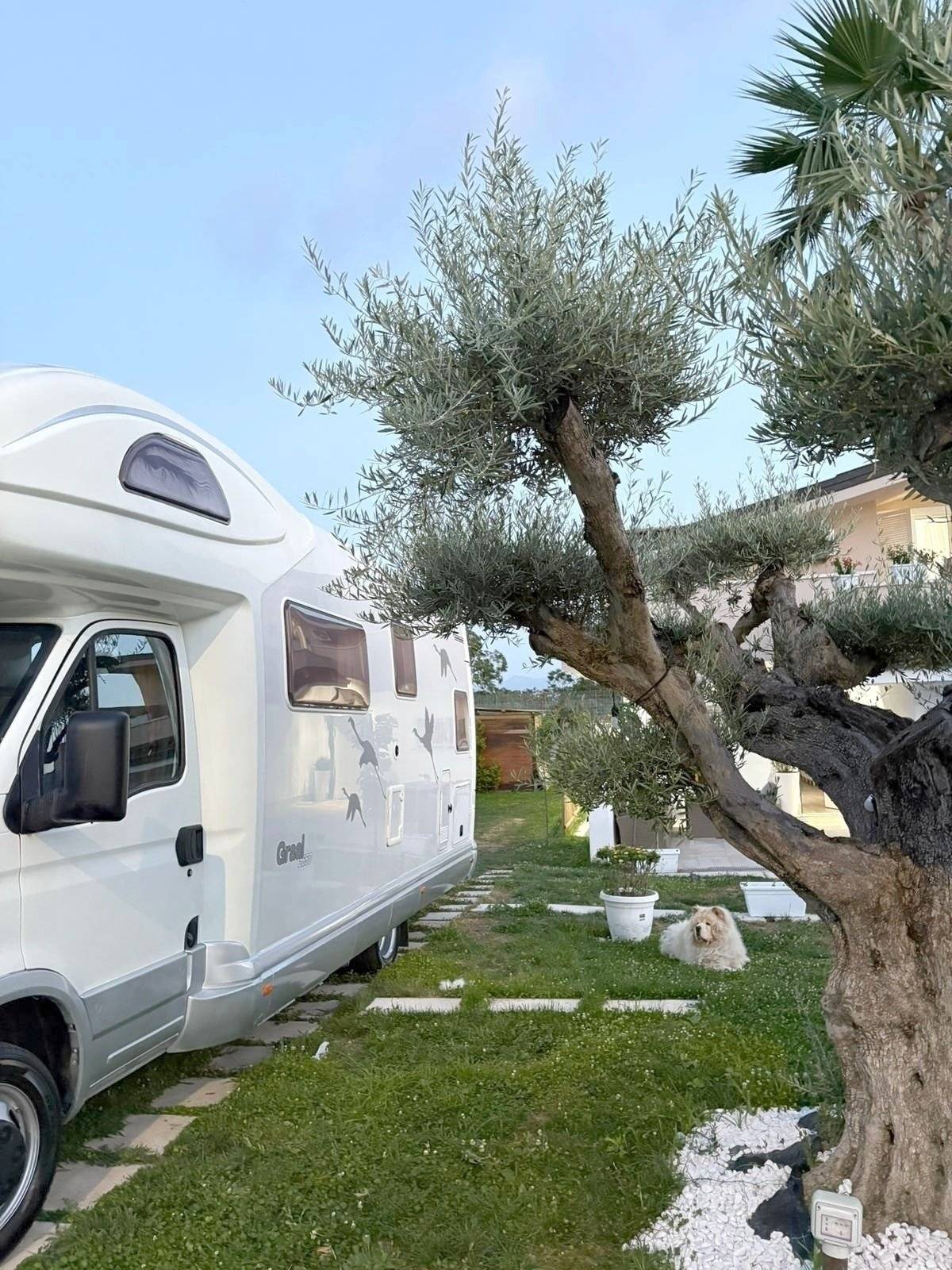 Vue avant de 3/4 Iveco iveco spa - Yescapa