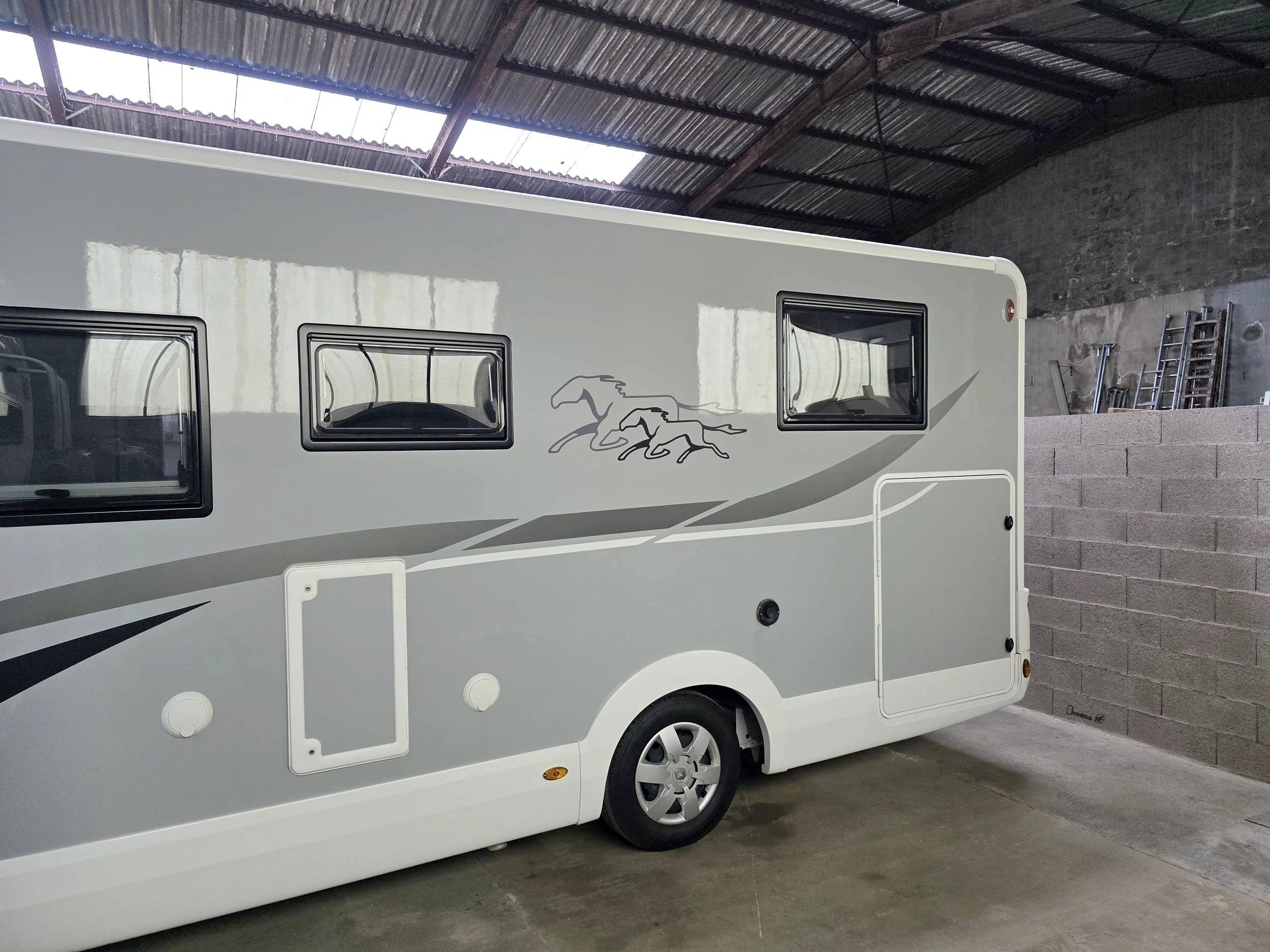 Mclouis Yearling