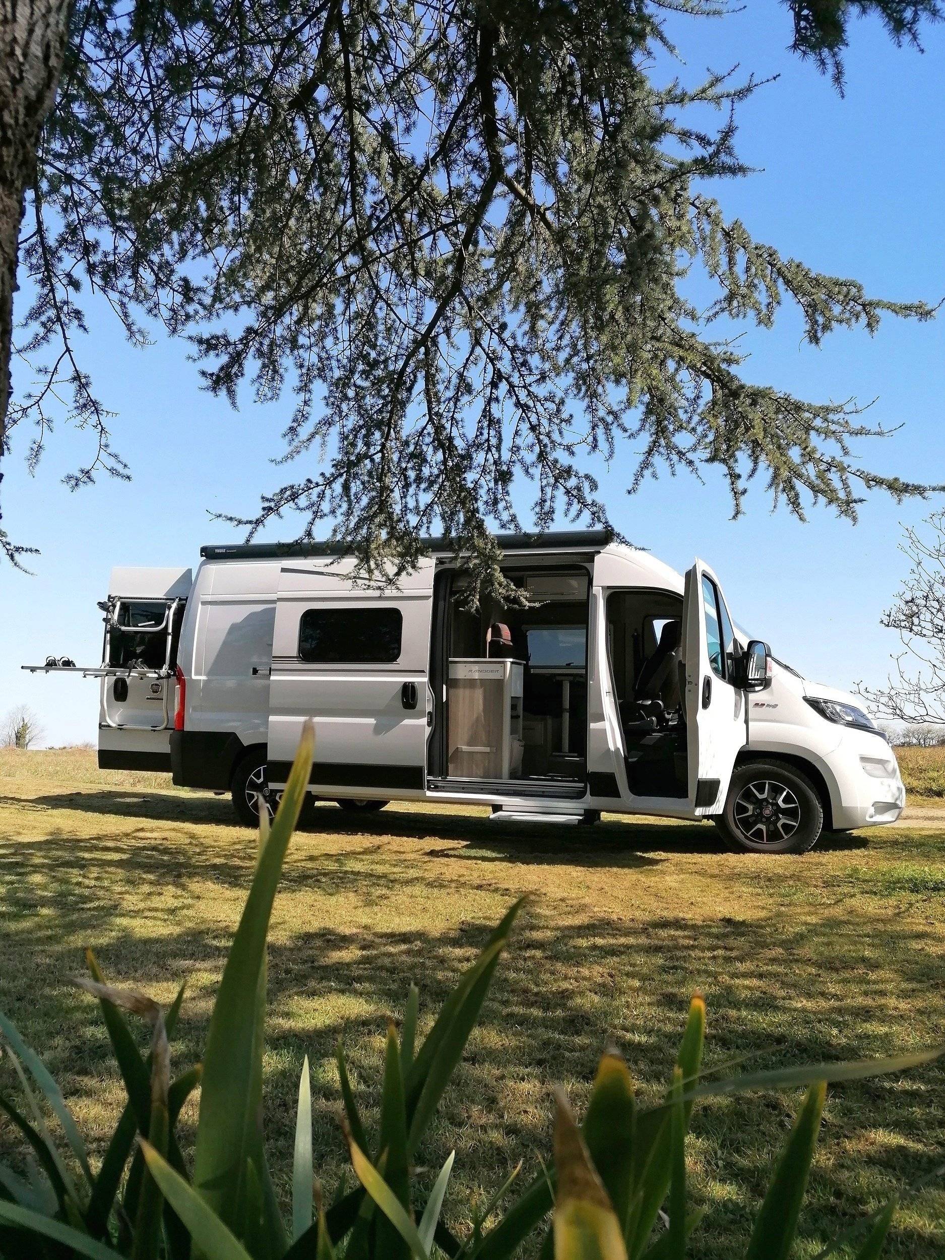 Randger randger r600