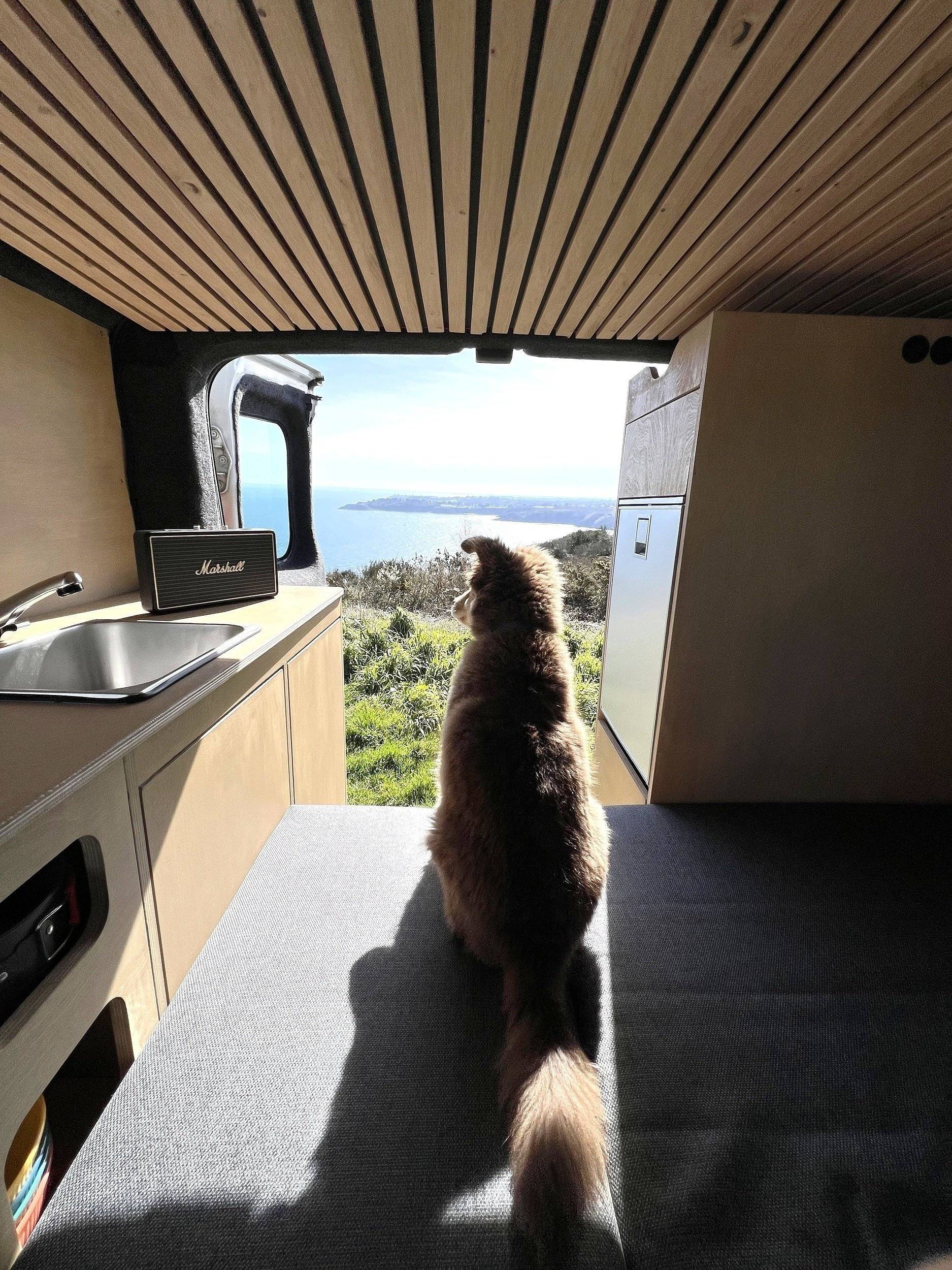 Renault Renault Trafic