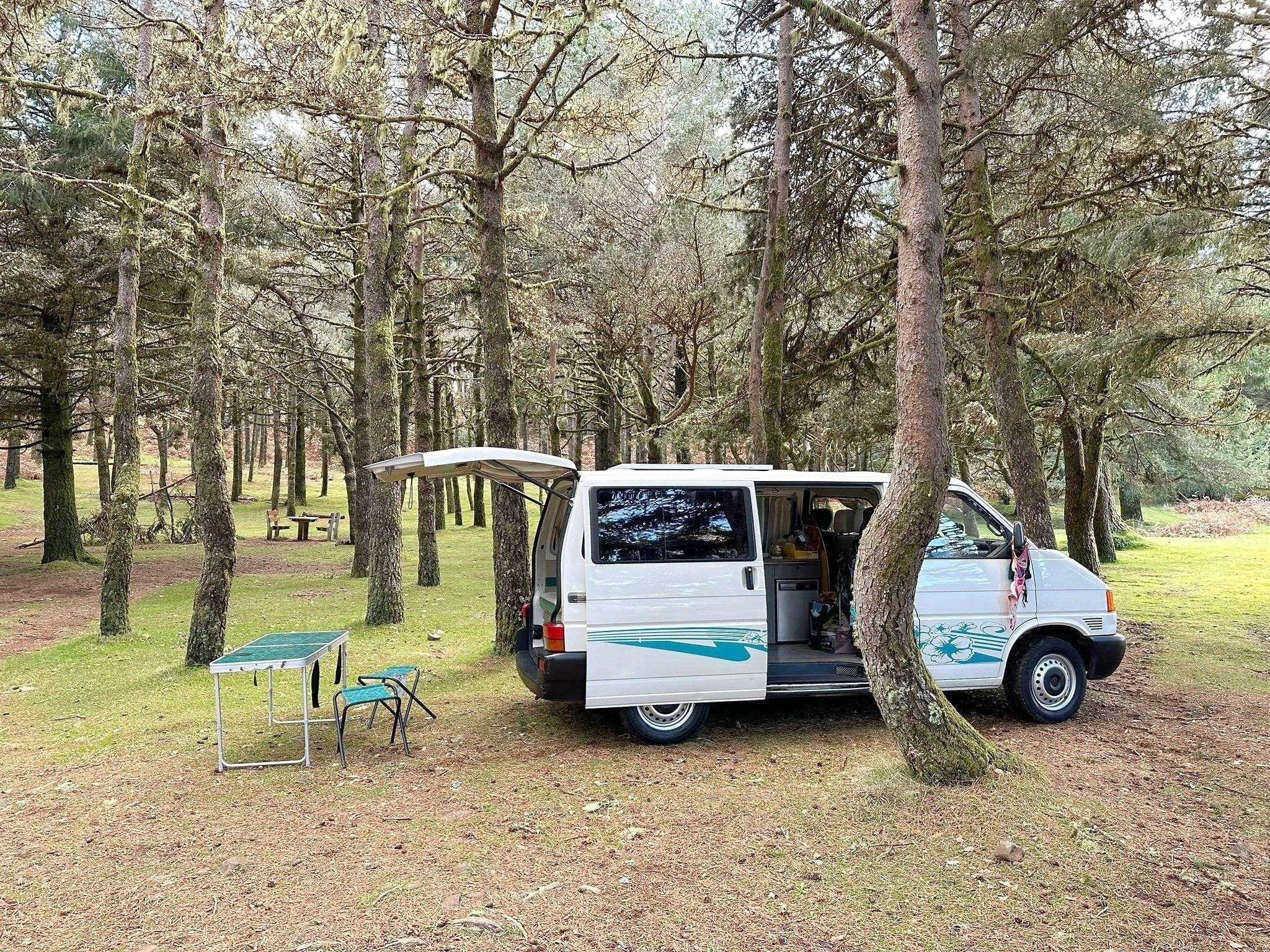 Volkswagen Volkswagen transporte