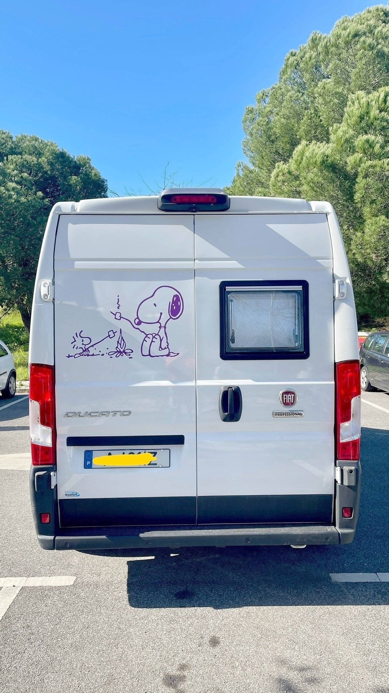 Fiat Fiat Ducato 2.2l 140 CV