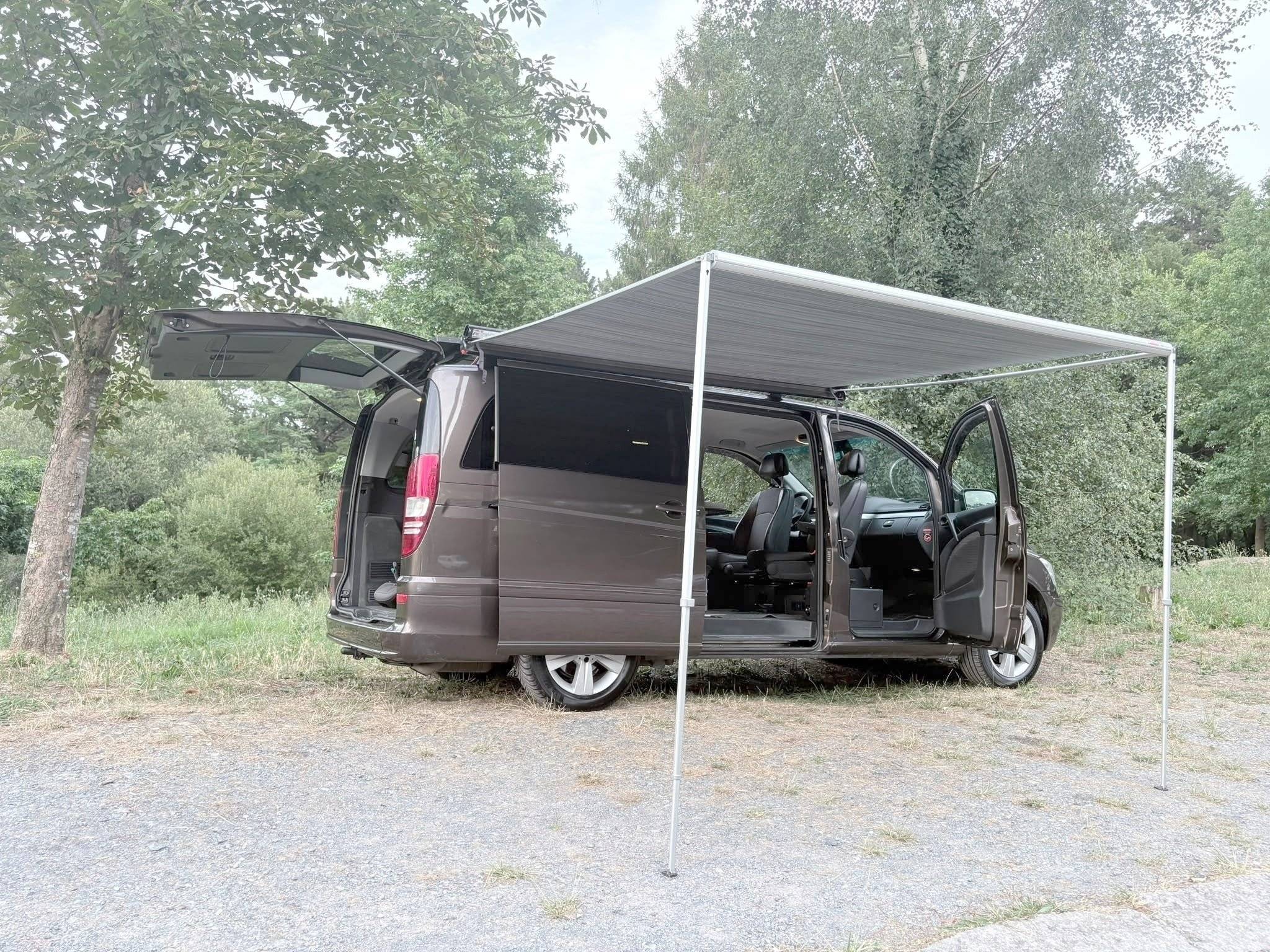 Mercedes Viano