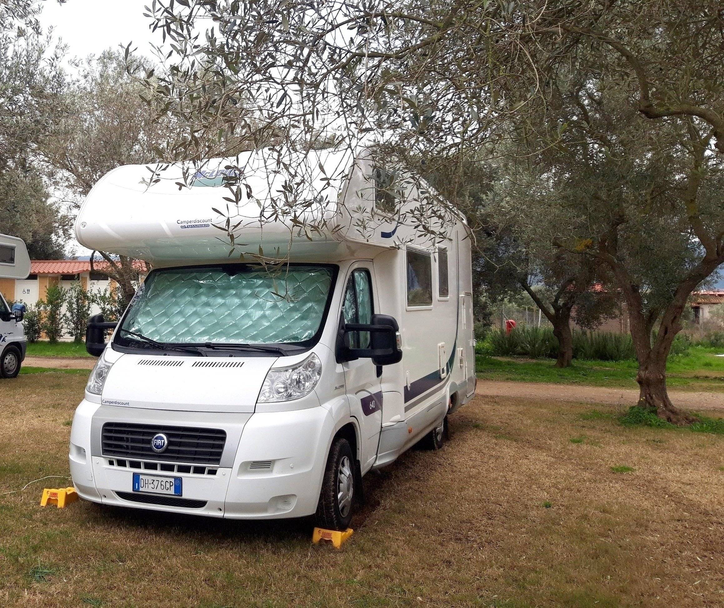 Mclouis McLouis Tandy