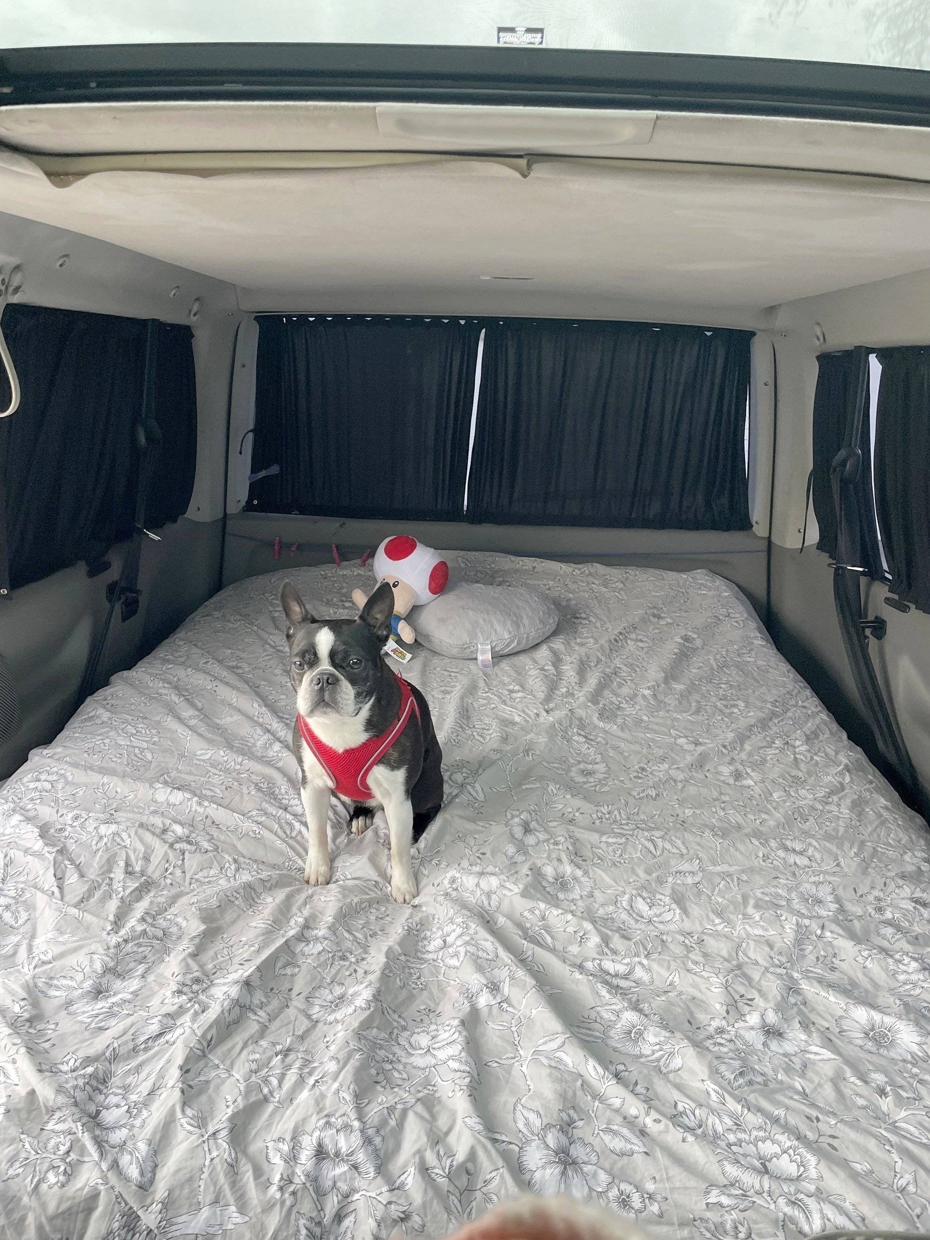 Volkswagen Volkswagen T4