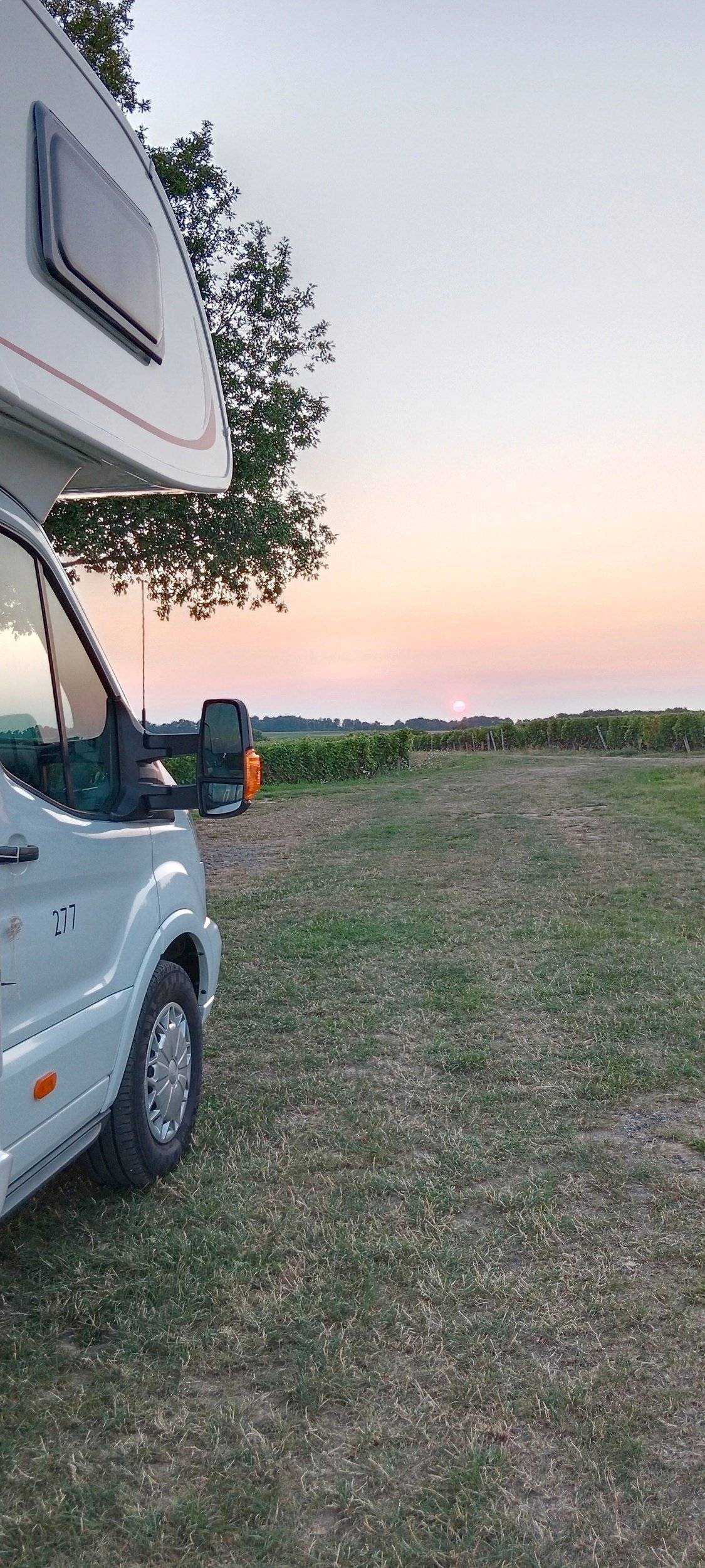 Roller team Roller team