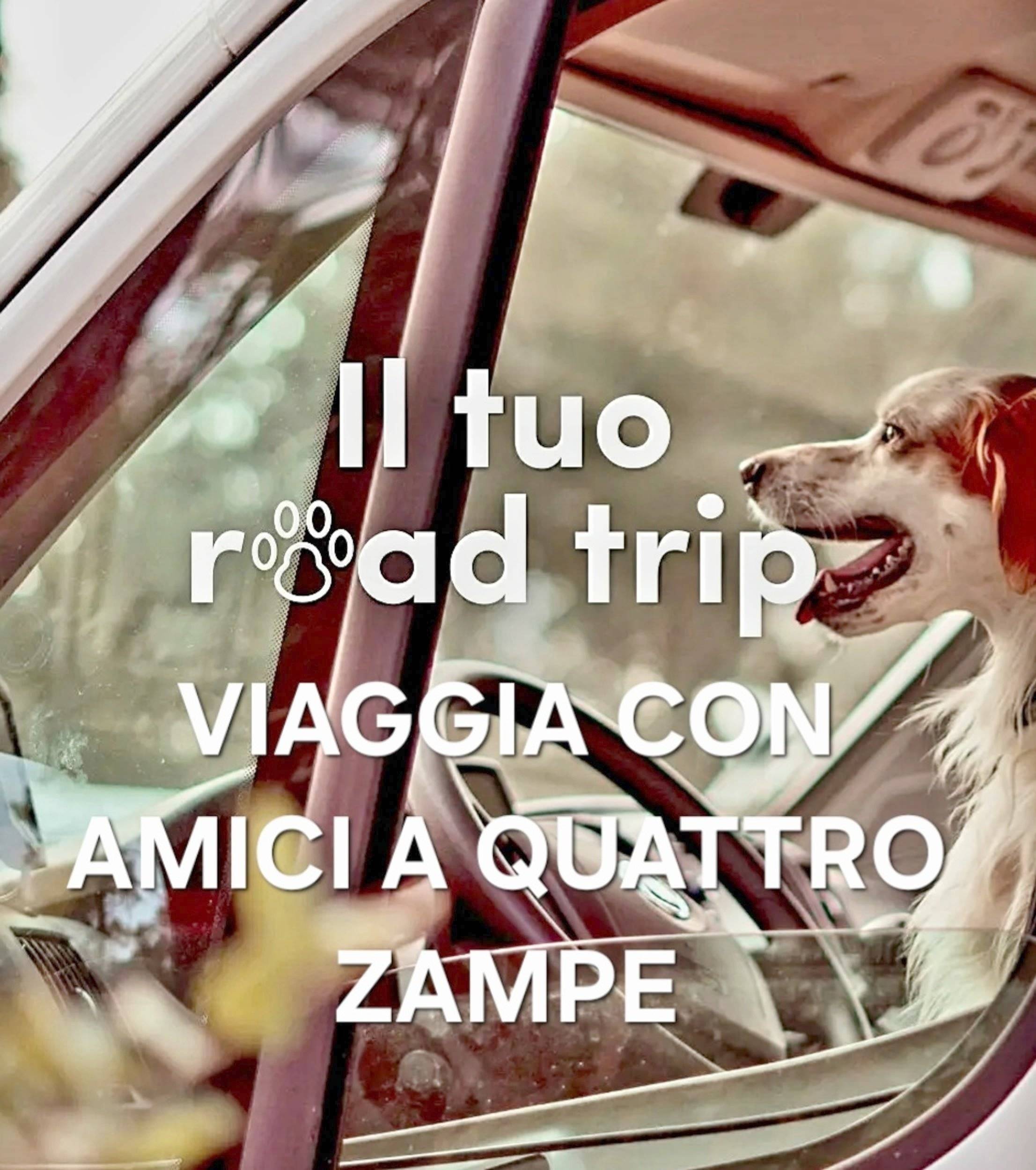 Roller Team Garage Maxi