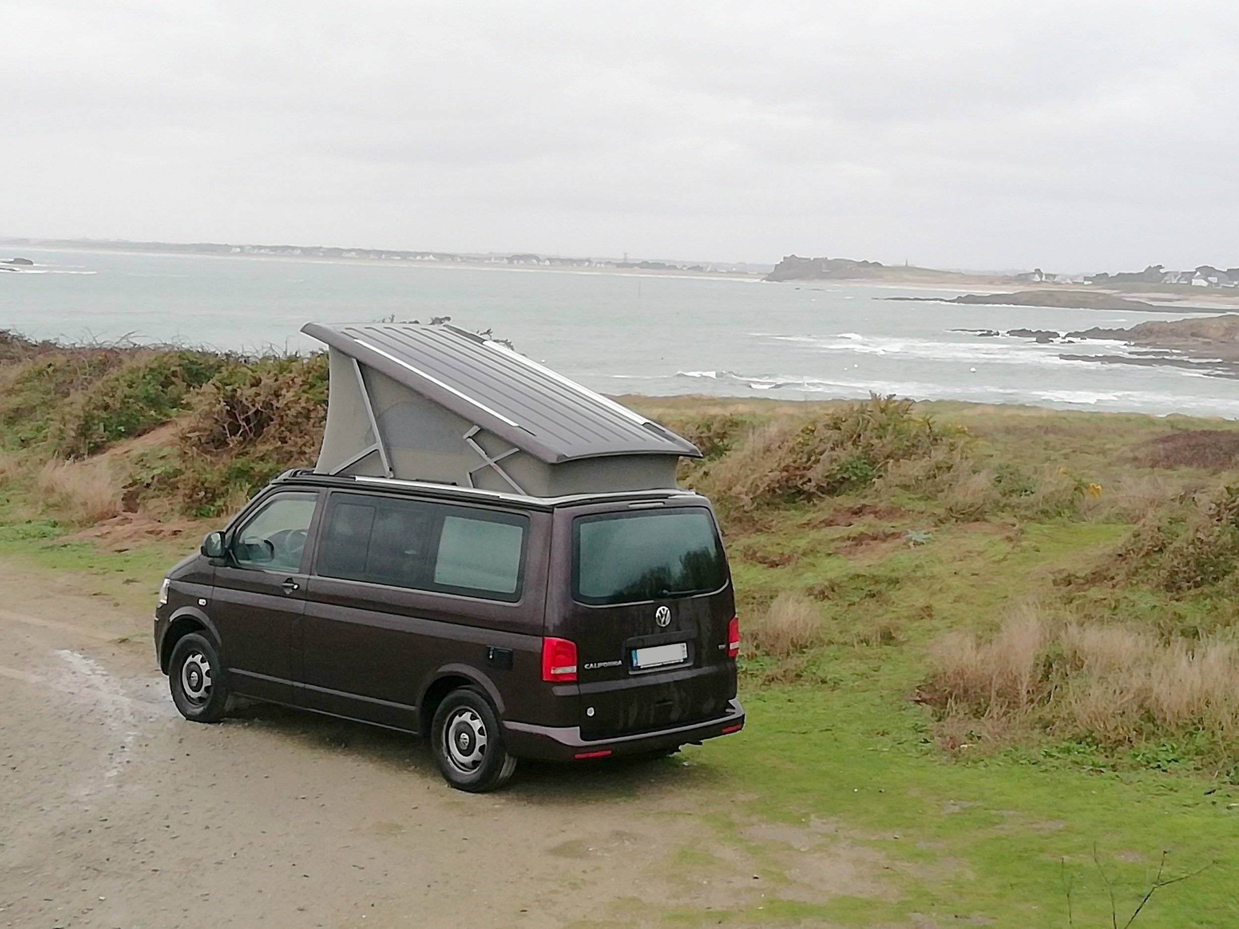 CALIFORNIA california