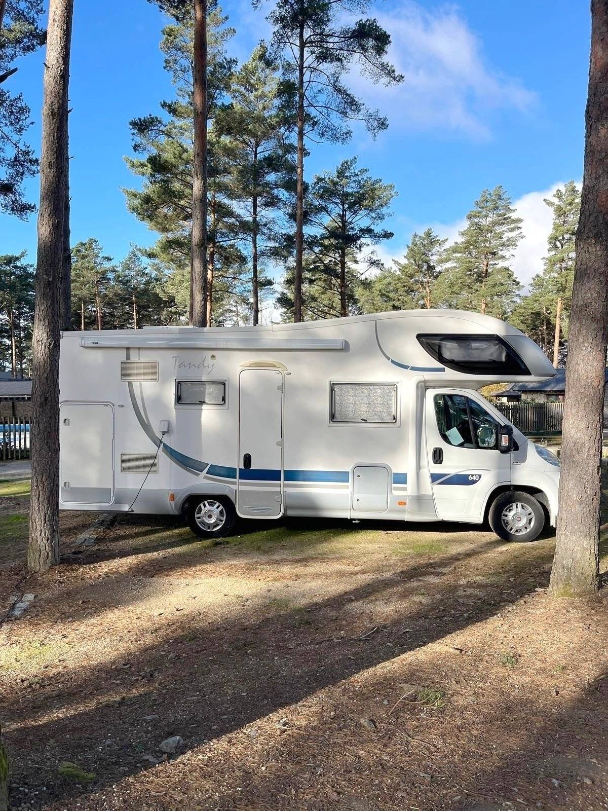 Mclouis McLouis Tandy