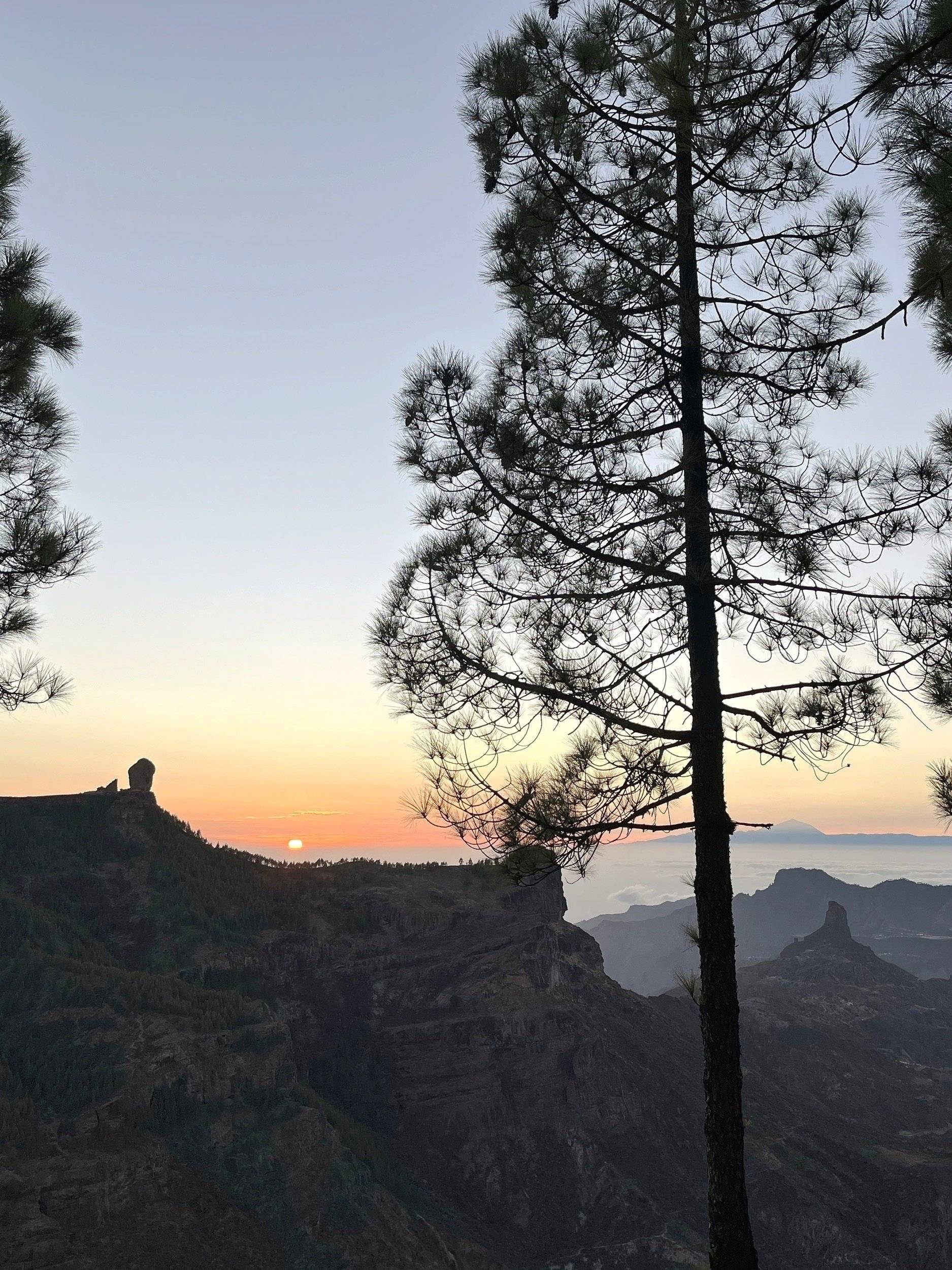 Volkswagen Volkswagen T6