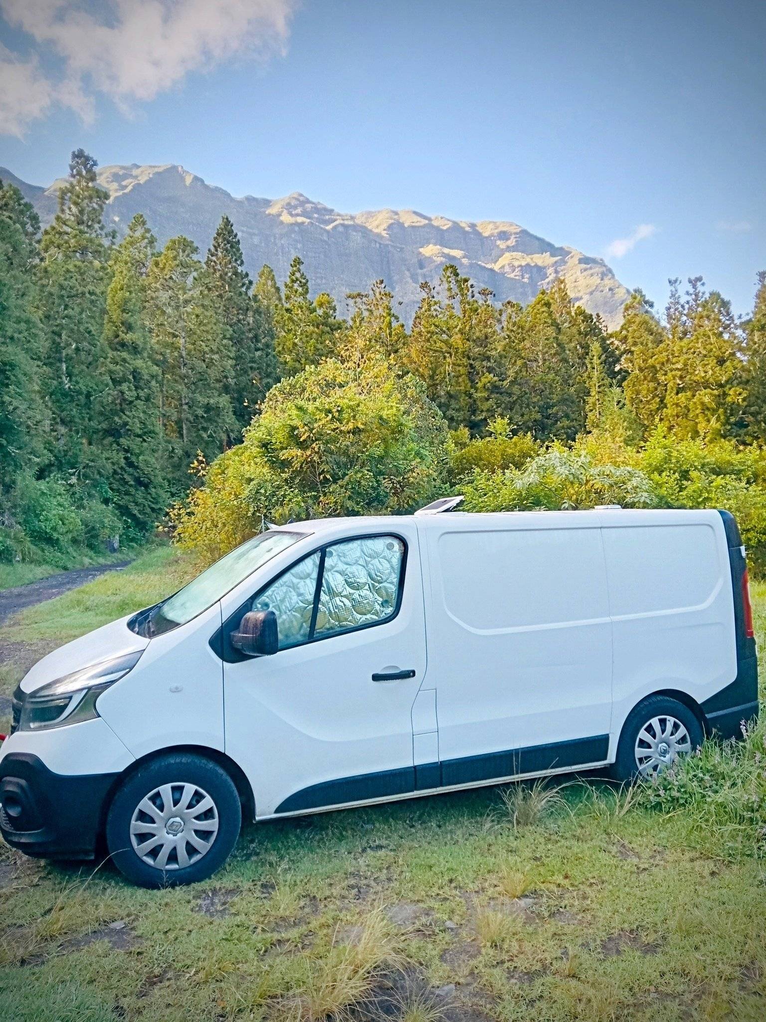 renault Trafic 3