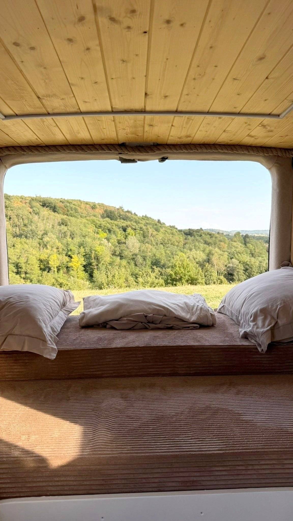 Renault Trafic 3