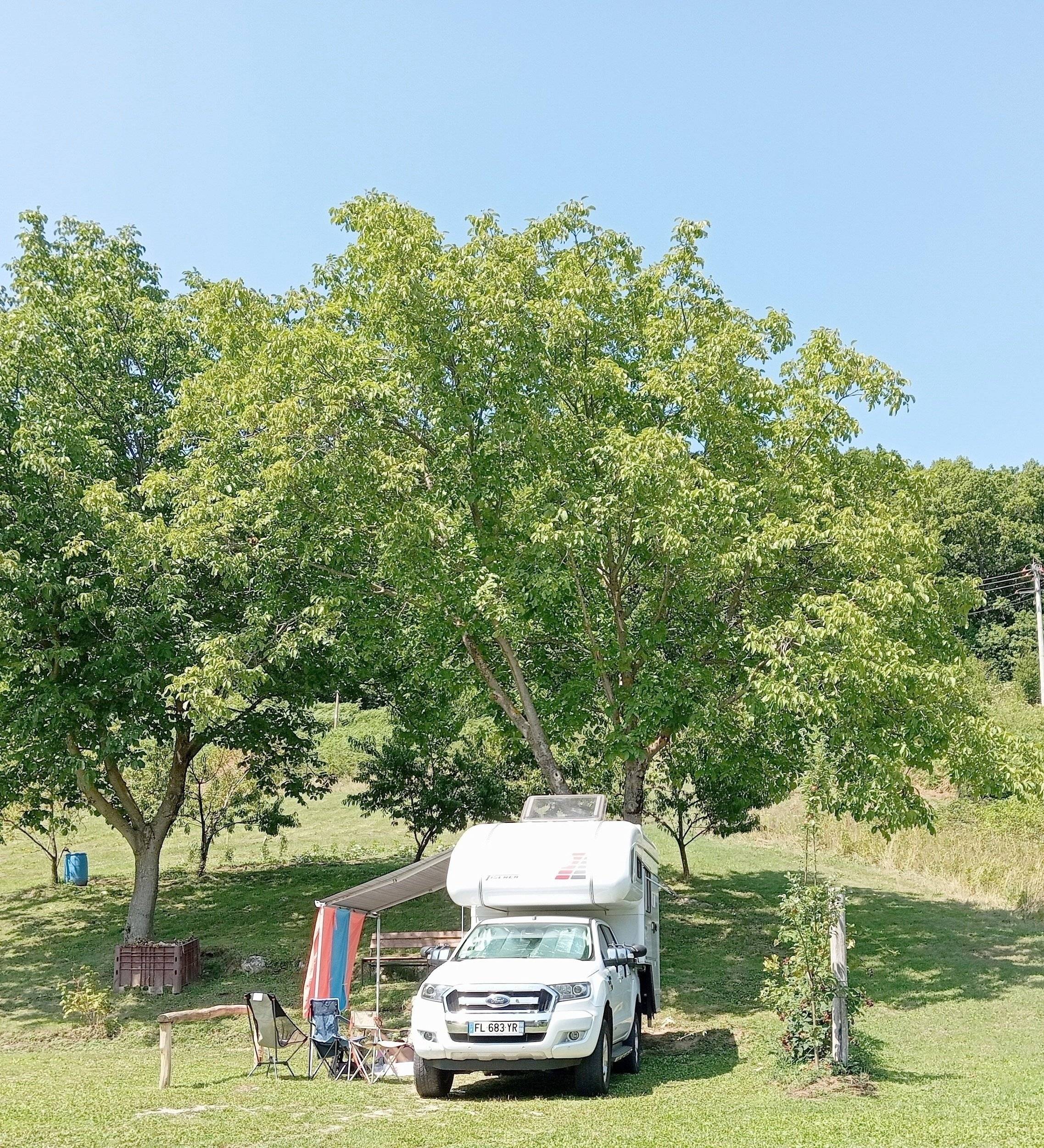 Cellule Tischer  Ranger