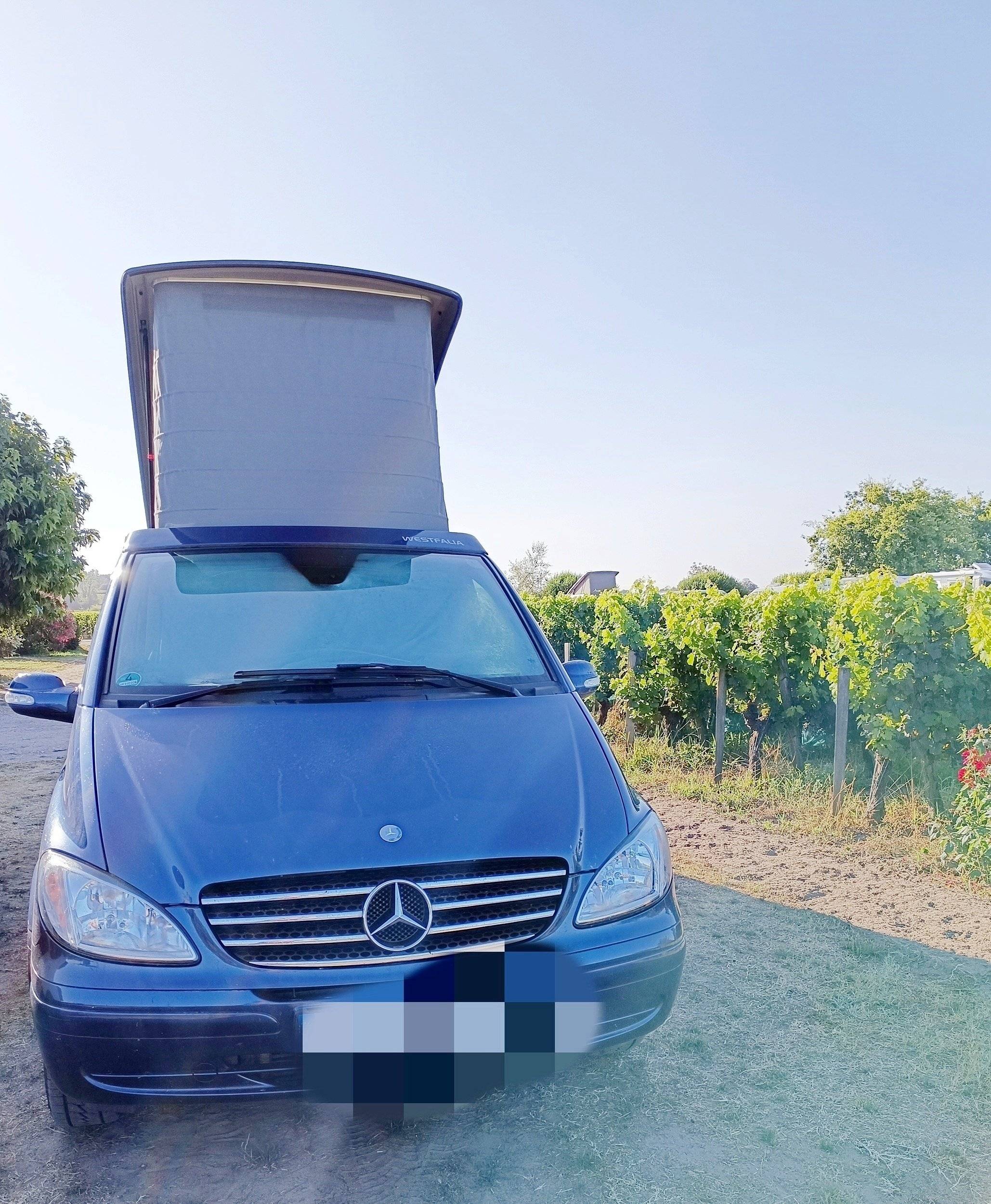 Volkswagen Mercedes Marco polo