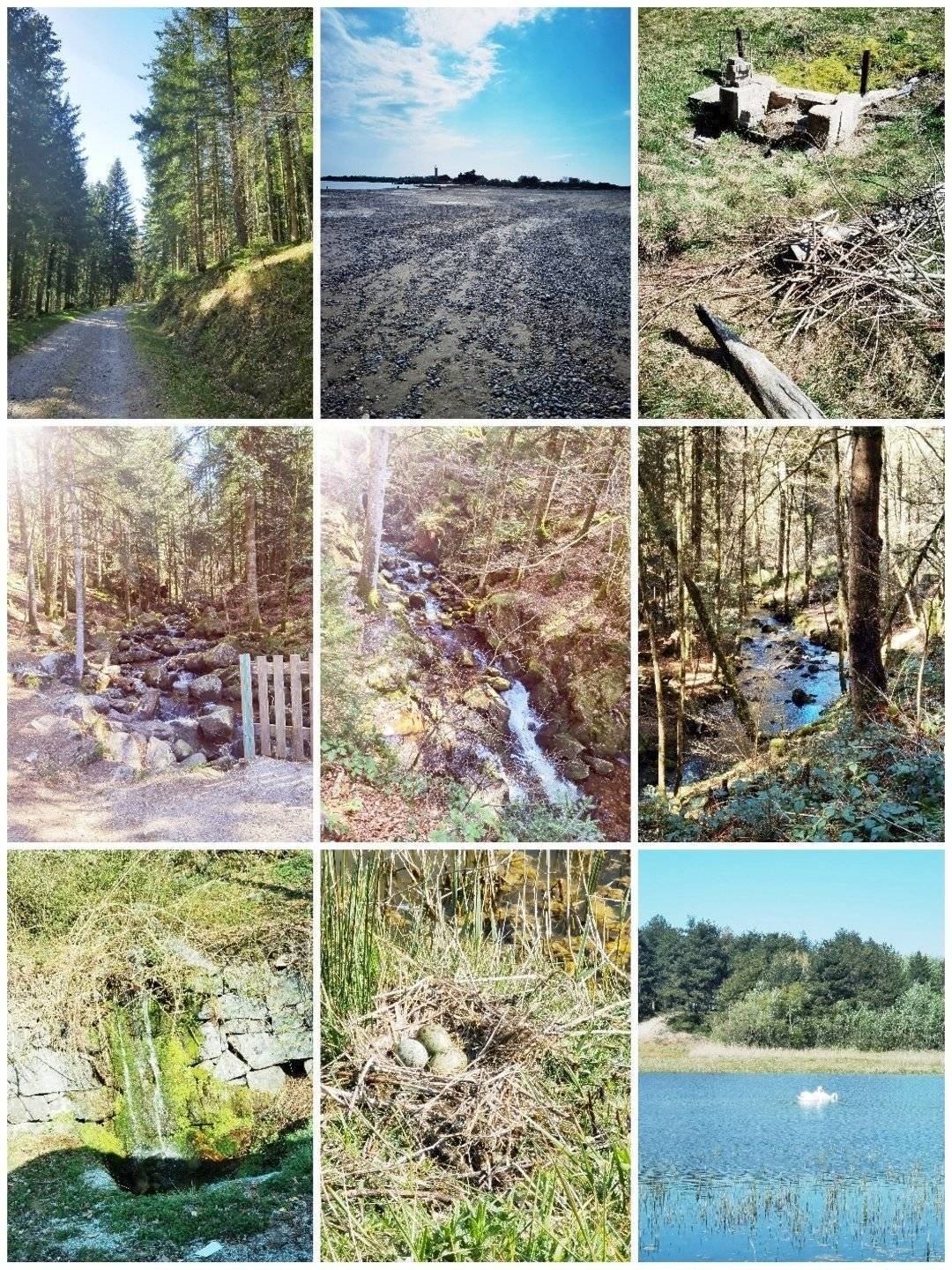 Slaapplaatsen Ford Transit 2,2 l TDCi 130 ch. - Yescapa