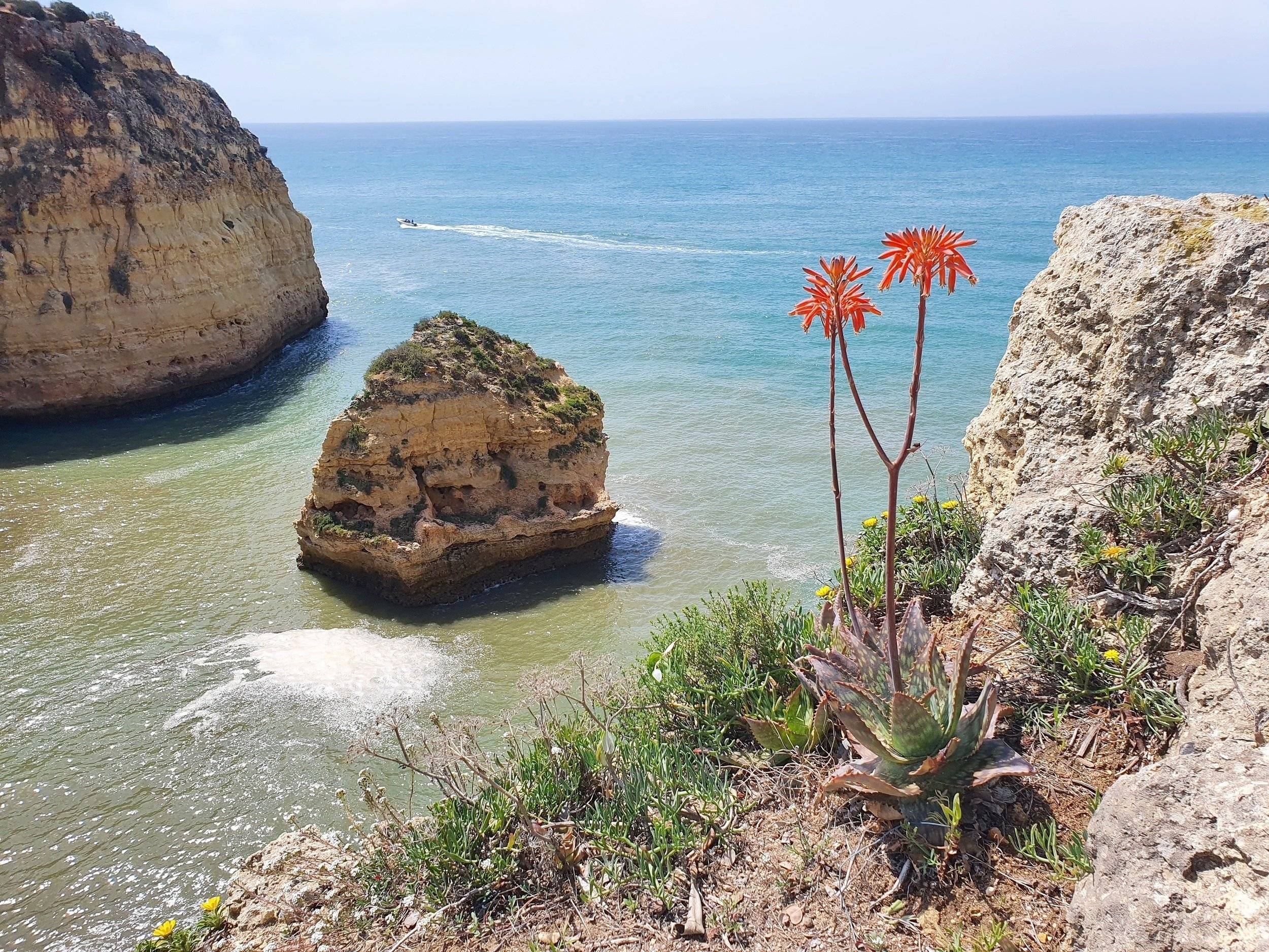 4X4 SUZUKI  suzuki Jimny