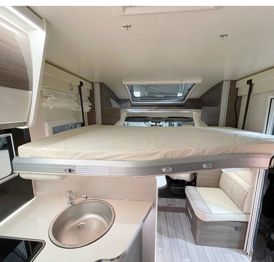 Mclouis Mclouis Yearling 83