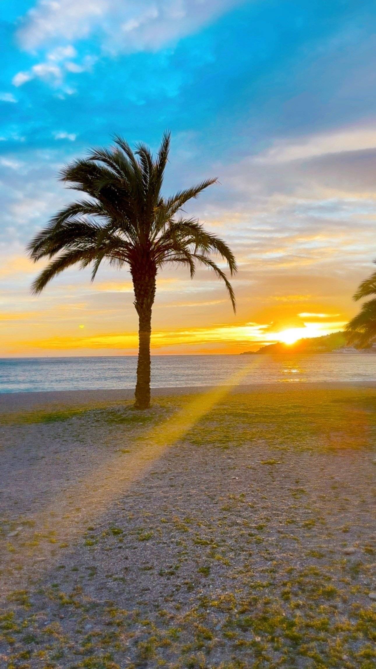 westfalia kepler one