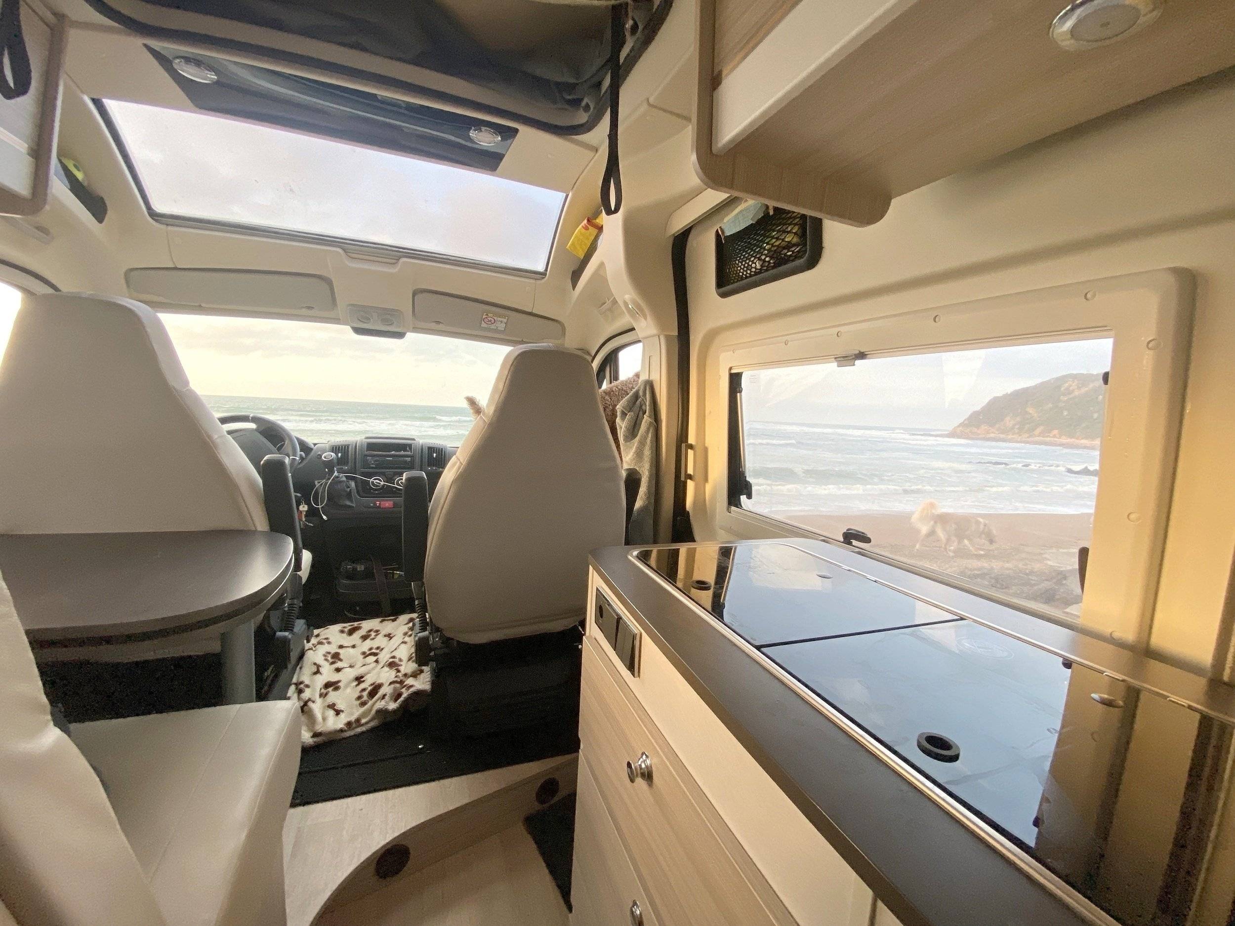 Dreamer Dreamer D 43UP