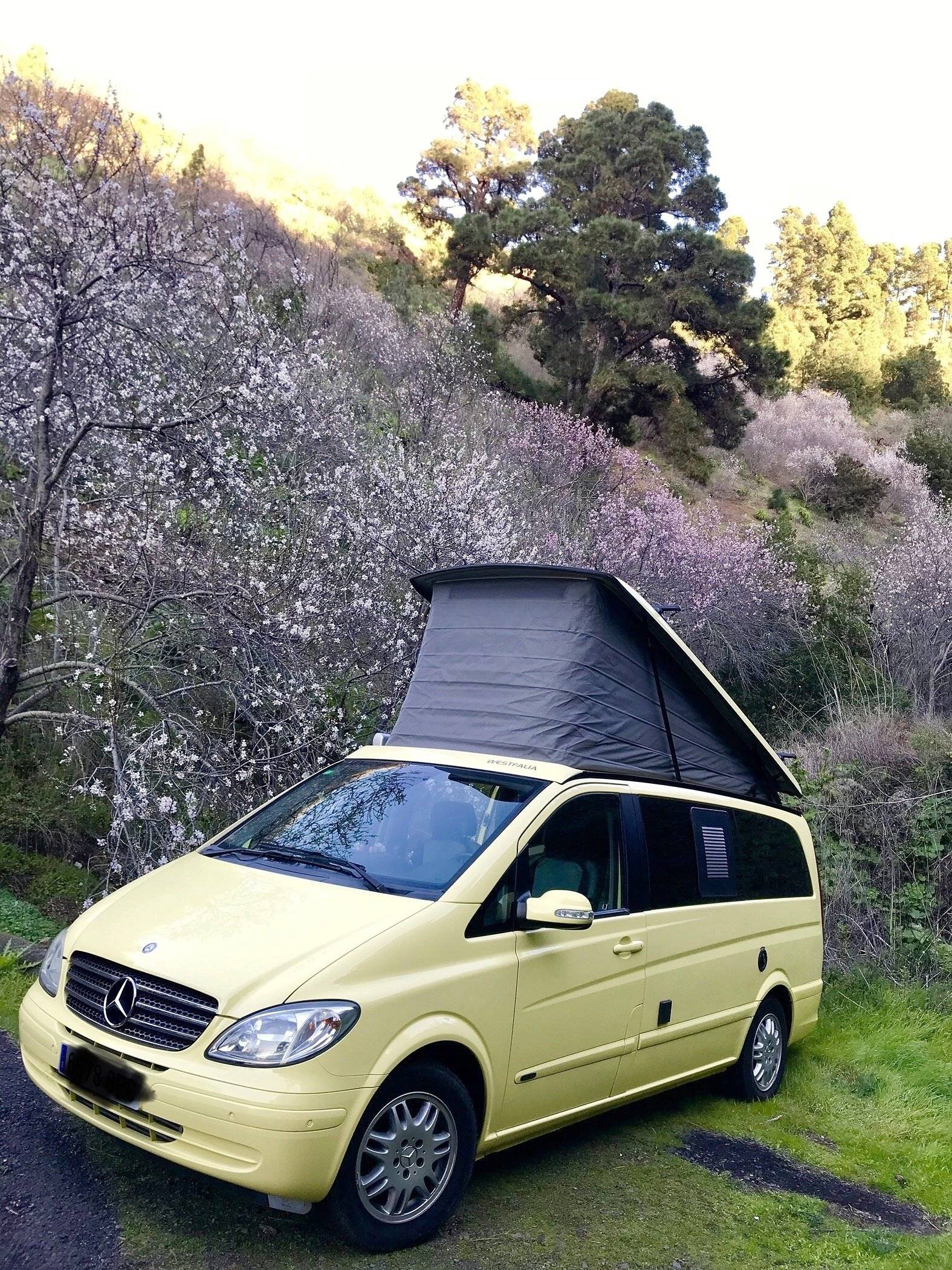 Mercedes VIANO MARCO POLO
