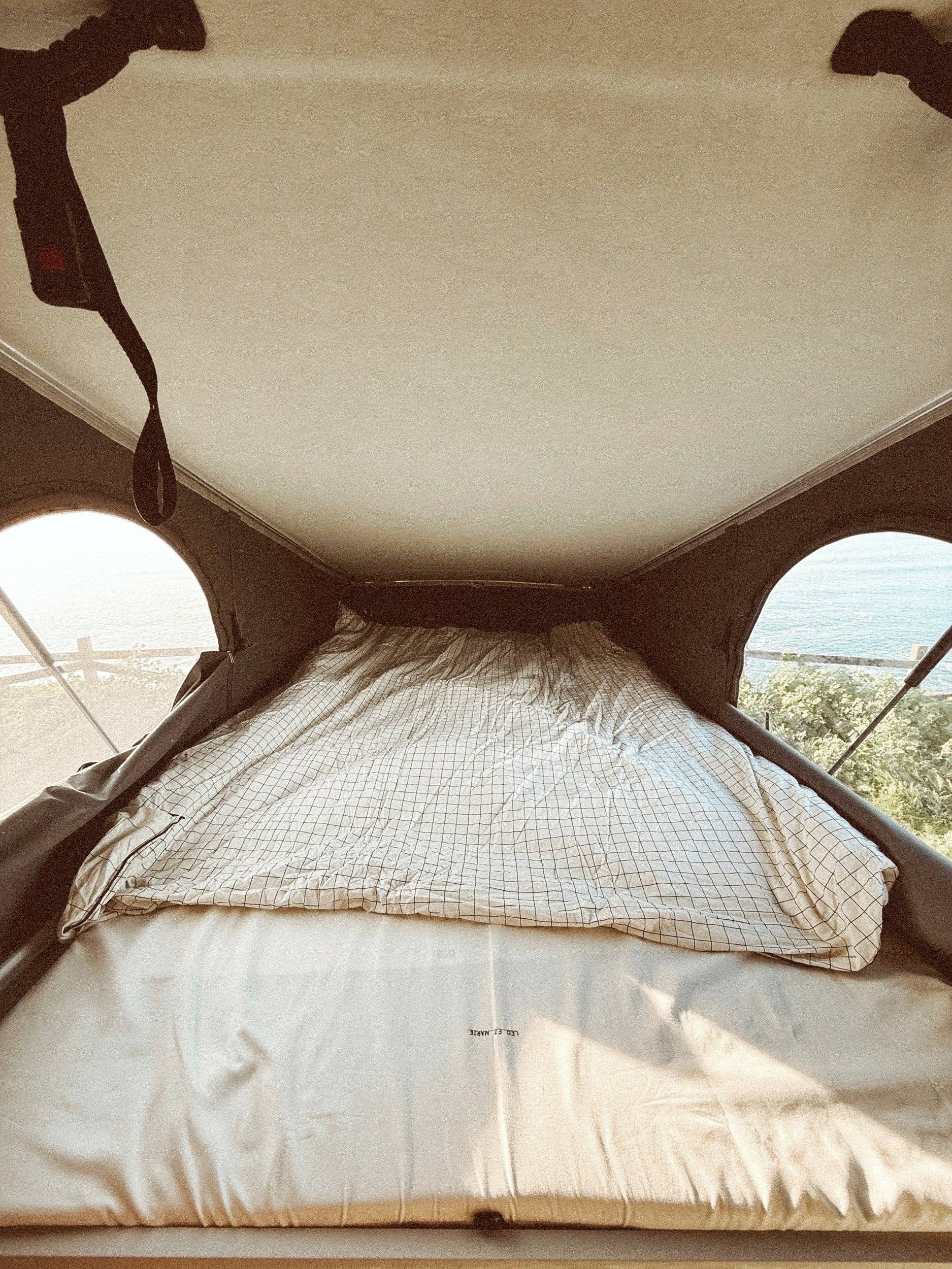 Artisanal Renault Trafic 3 L2H1