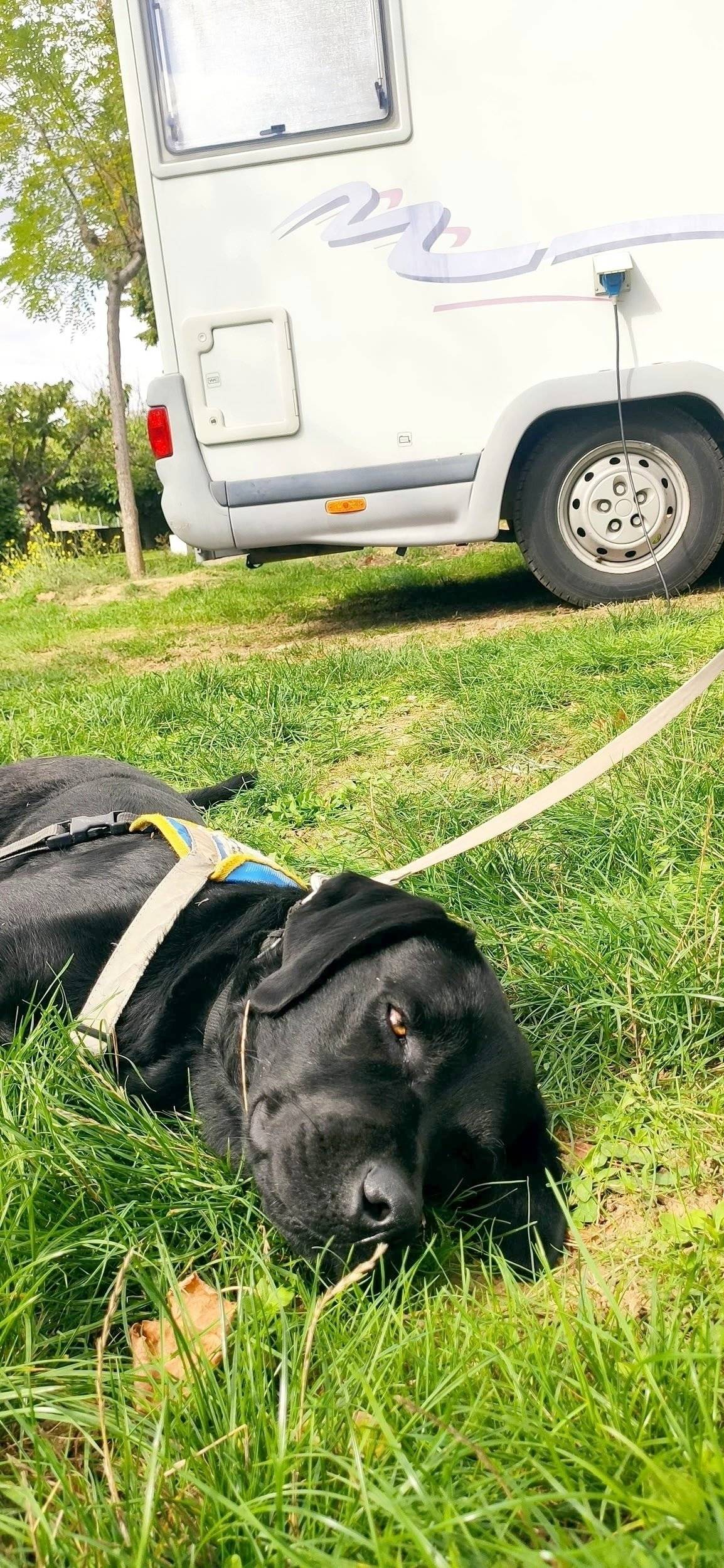 Challenger DUCATO 2,8 JTD