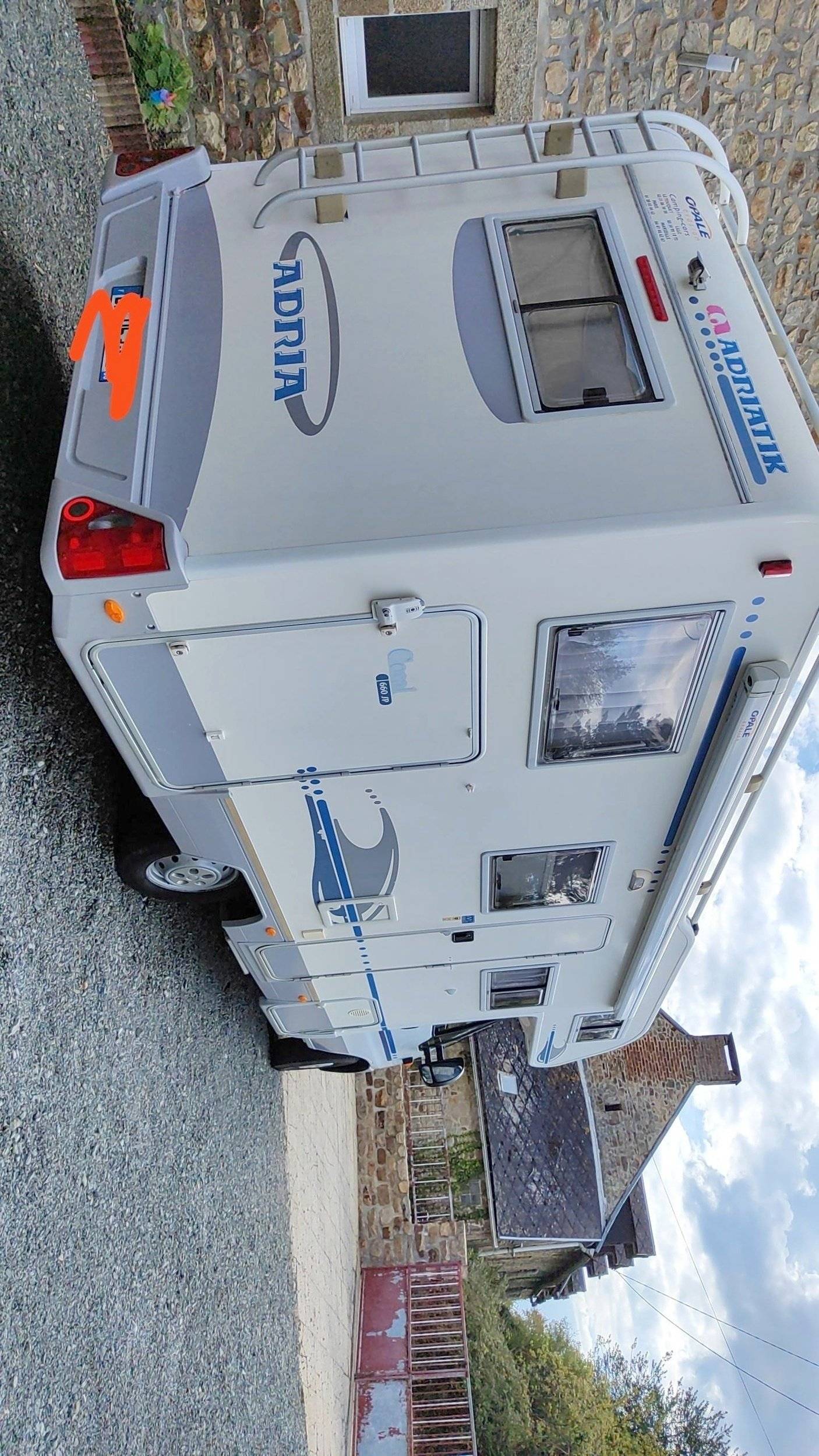 Adria Adria coral   sp660