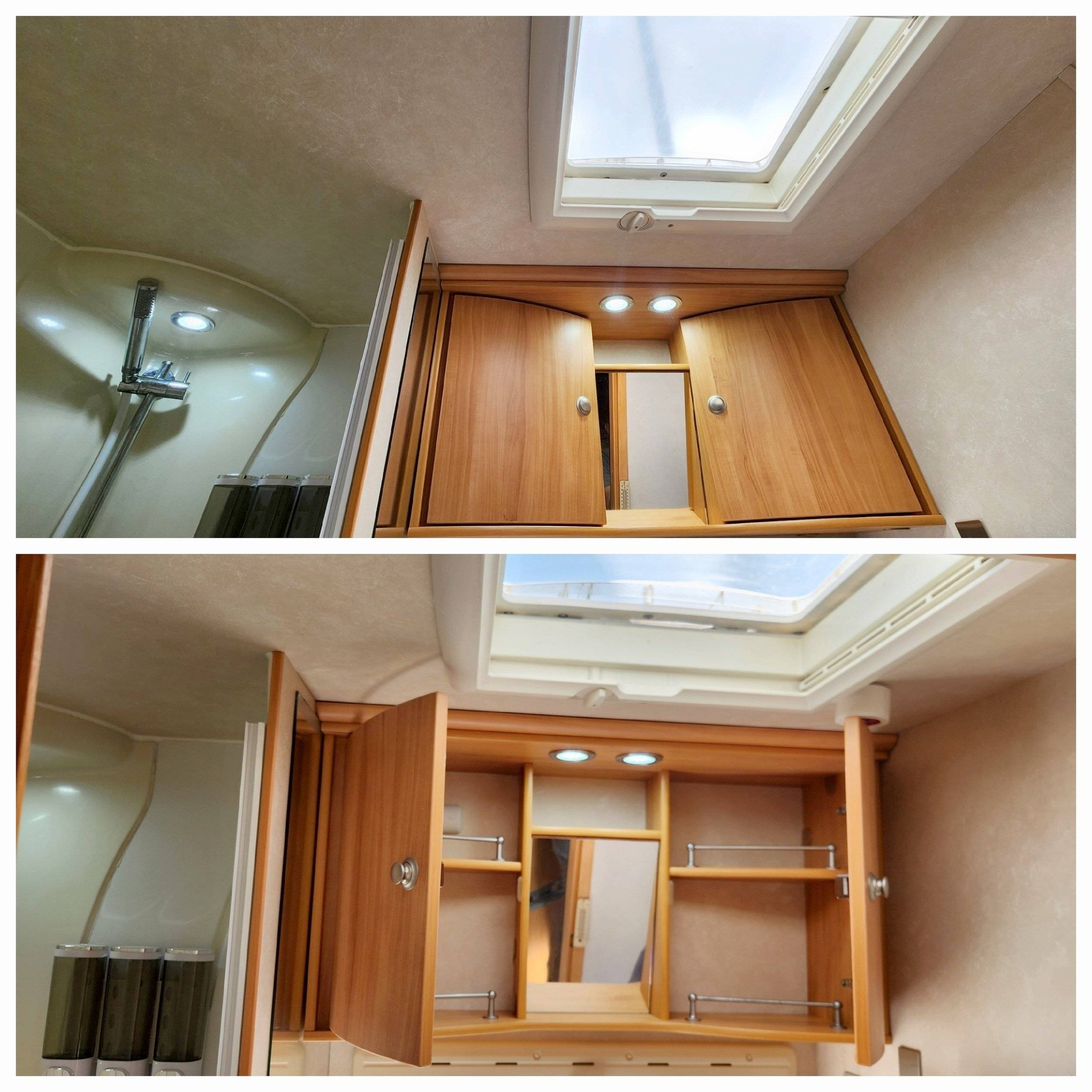 Adria Adria coral   sp660