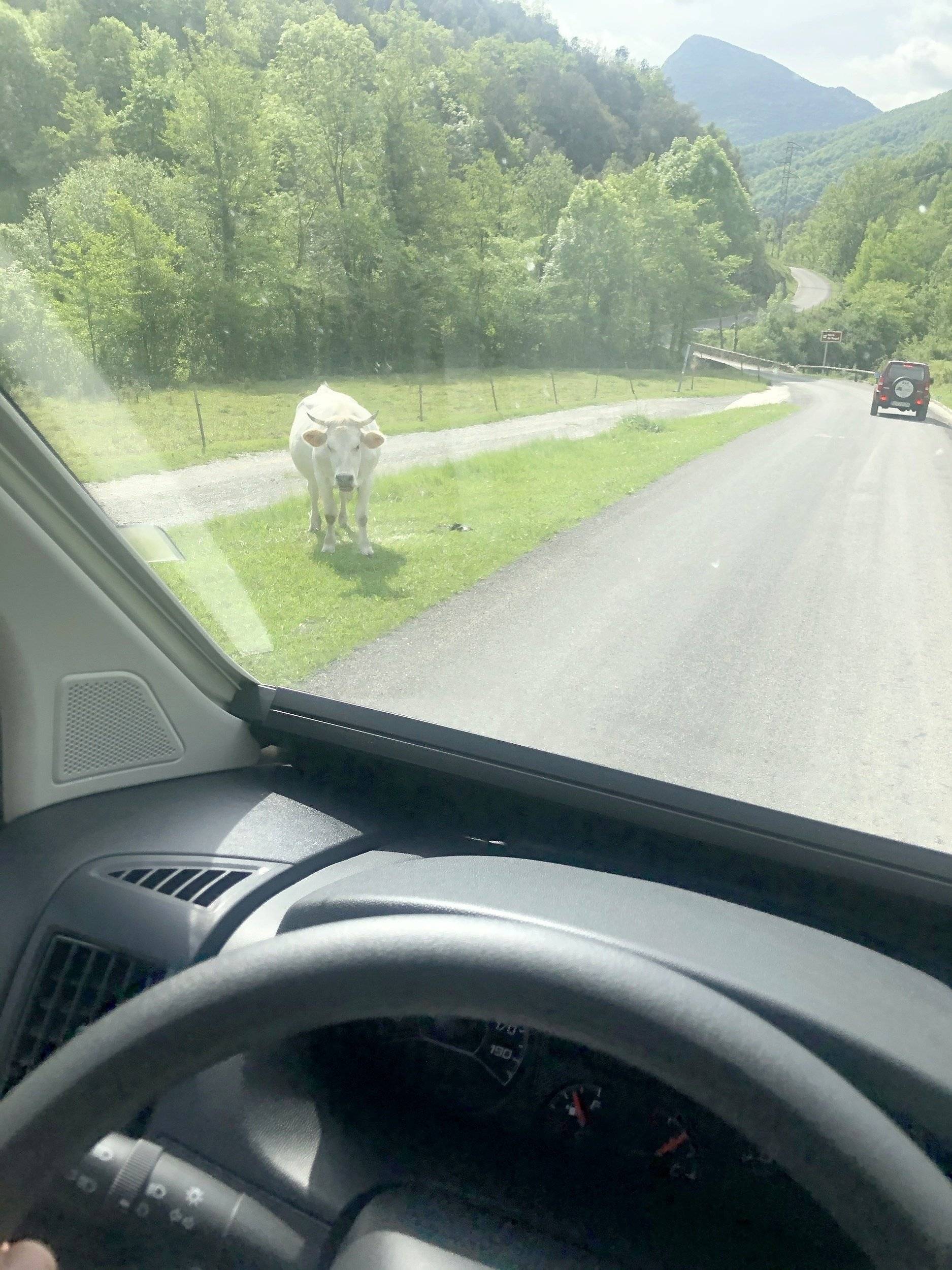 Mclouis Van 3 Maxi S-Line