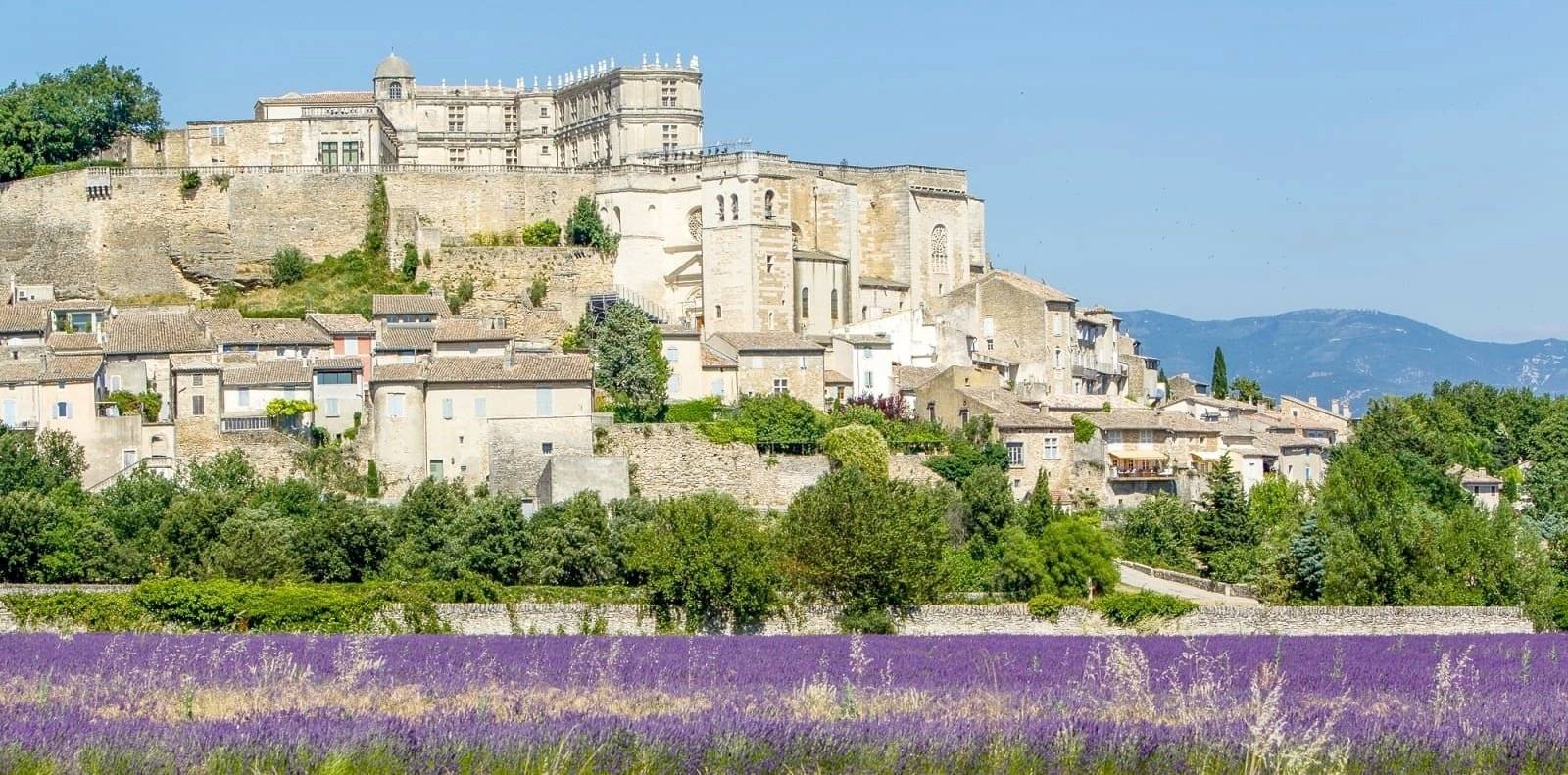 ridervan Volkswagen Transporter T6