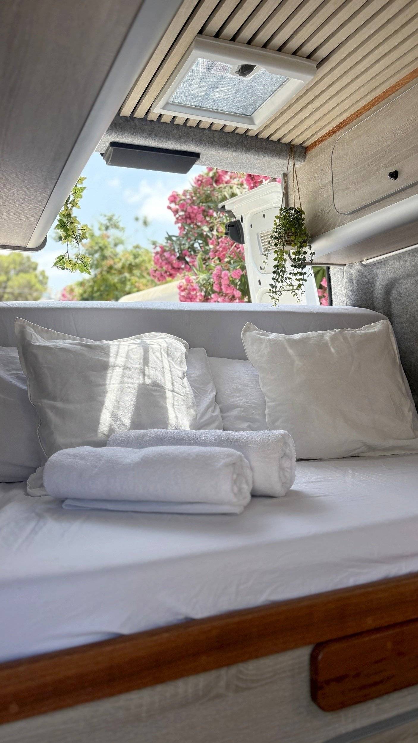 Custo Van Ford Transit