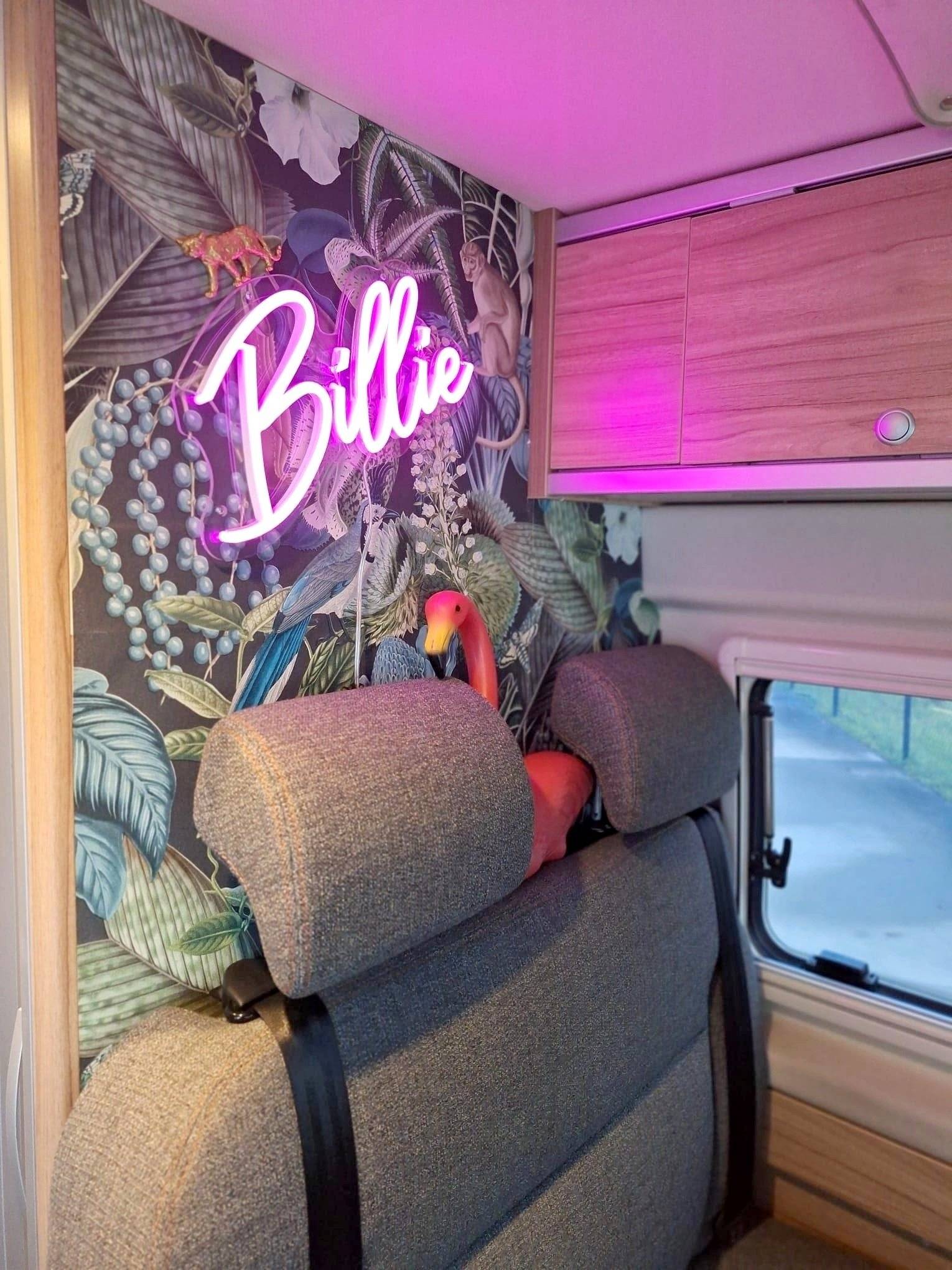 Hymer 