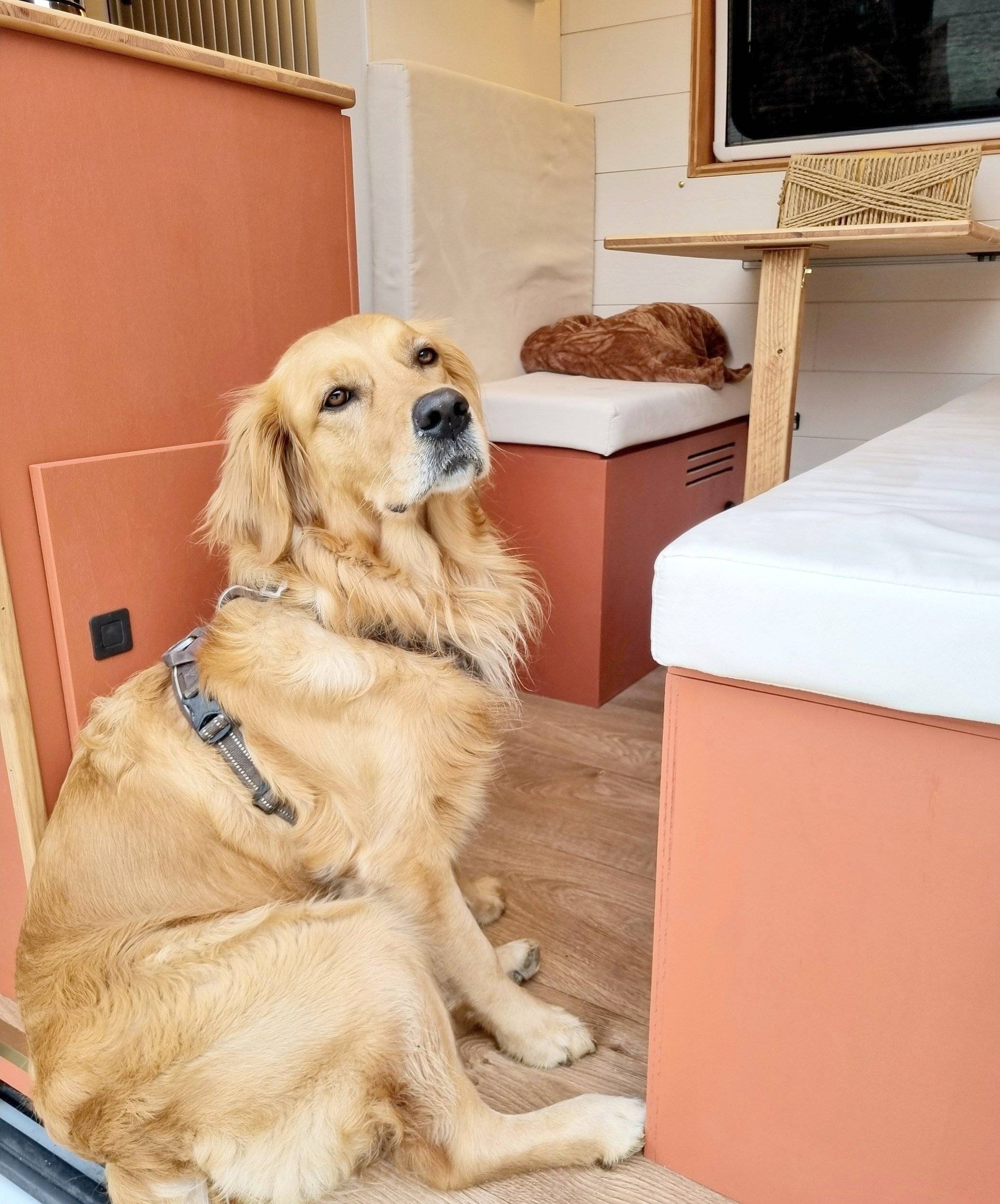 Renault Master 2,3 l 130 ch