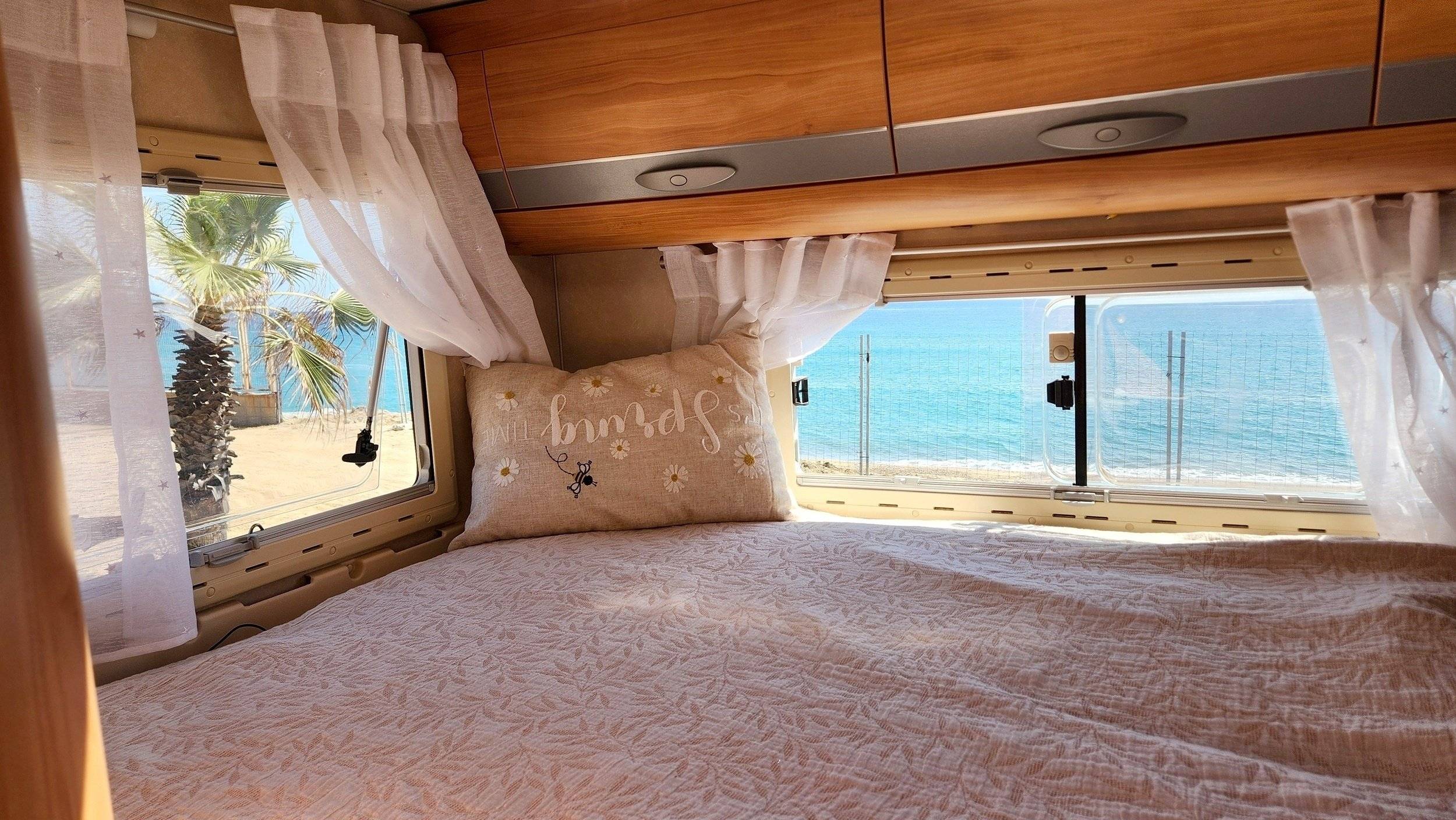 Adria Adria coral   sp660