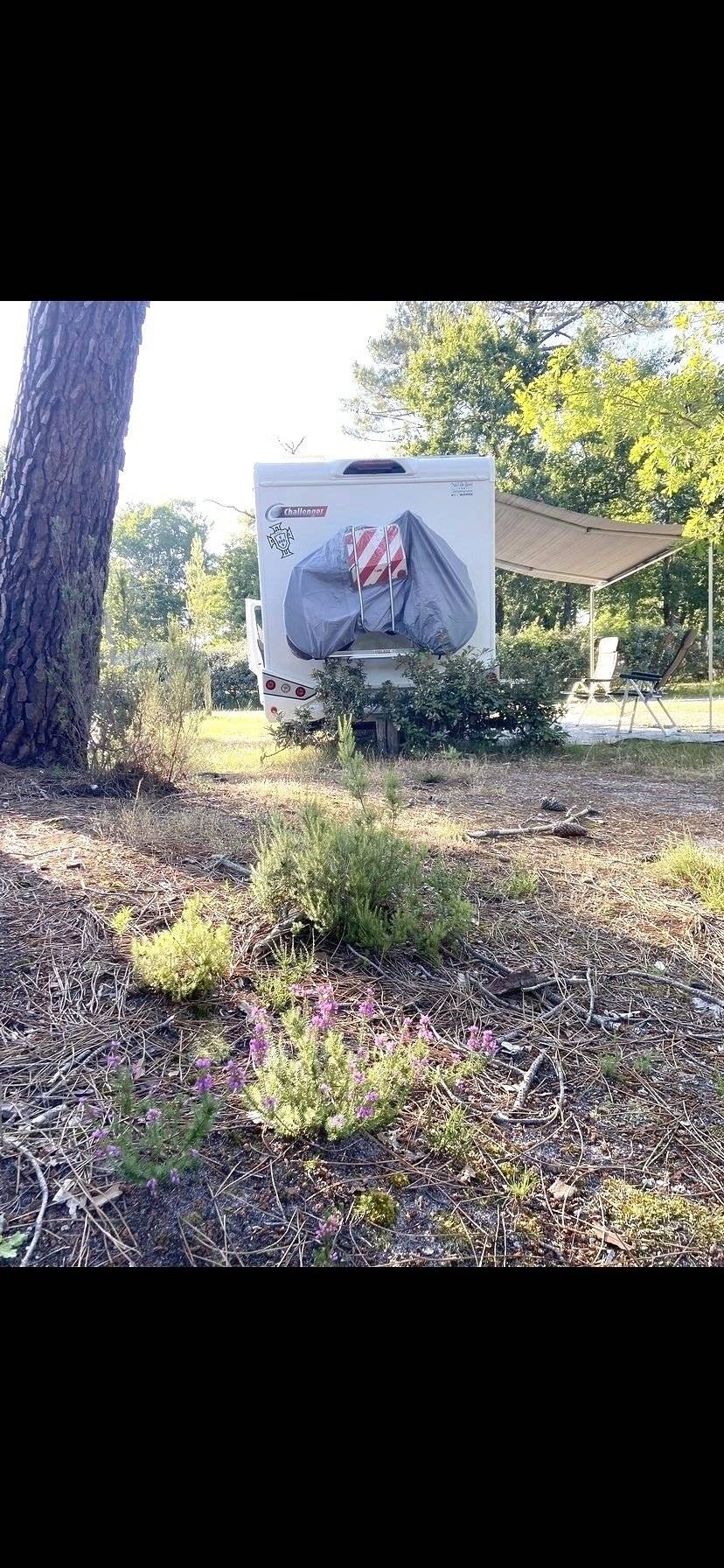 Challenger FORD TRANSIT