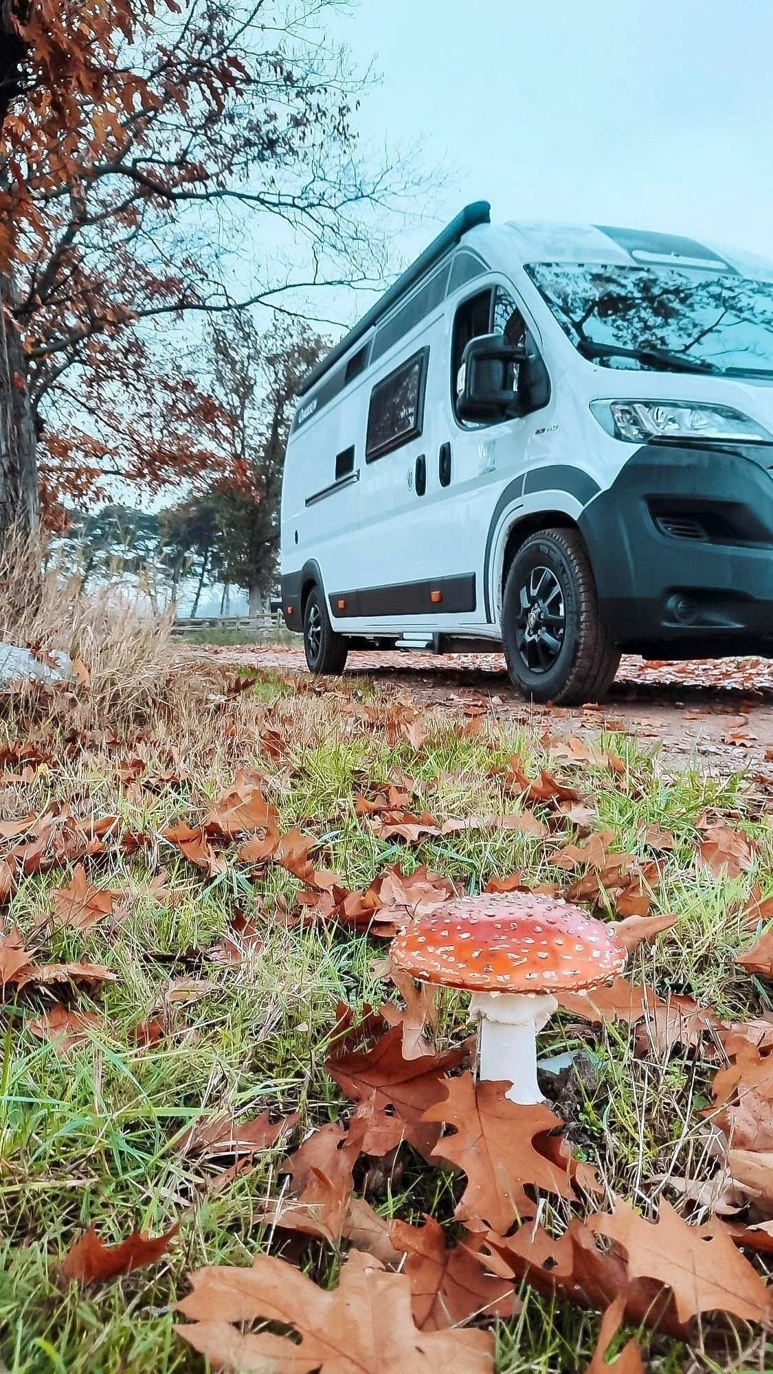 Chausson 