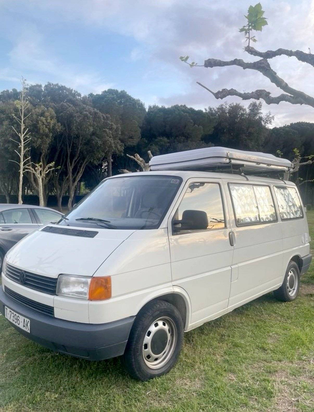 Volkswagen Volkswagen transporte