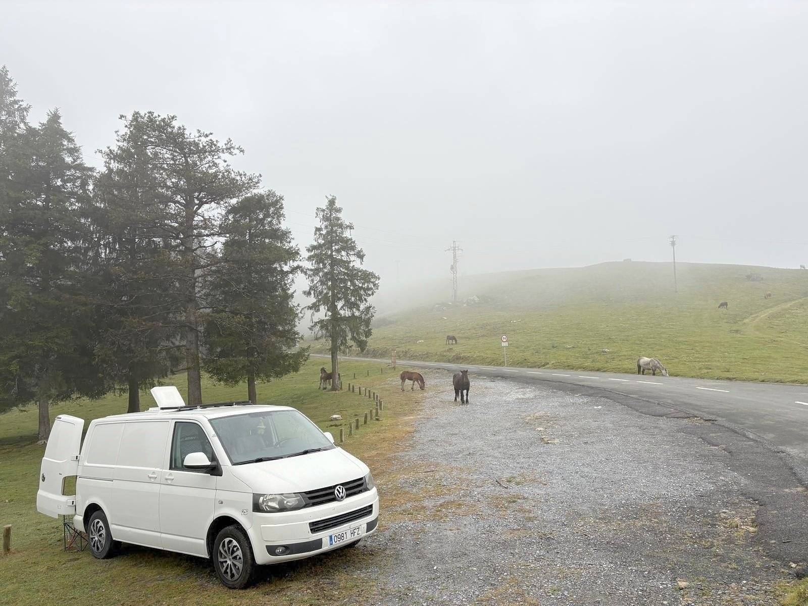 Volkswagen Volkswagen transporte