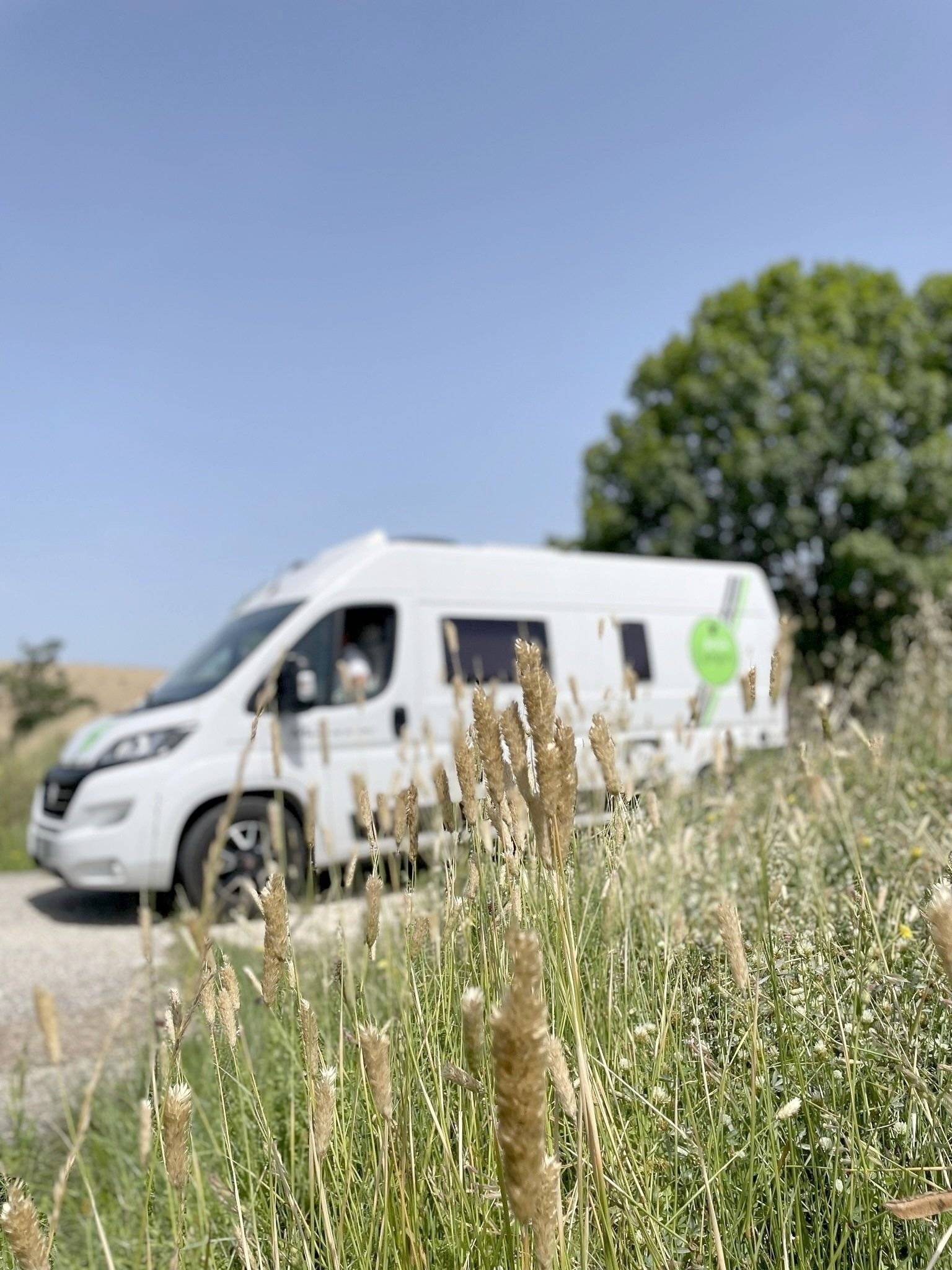 Menfys 3 Maxi McLouis