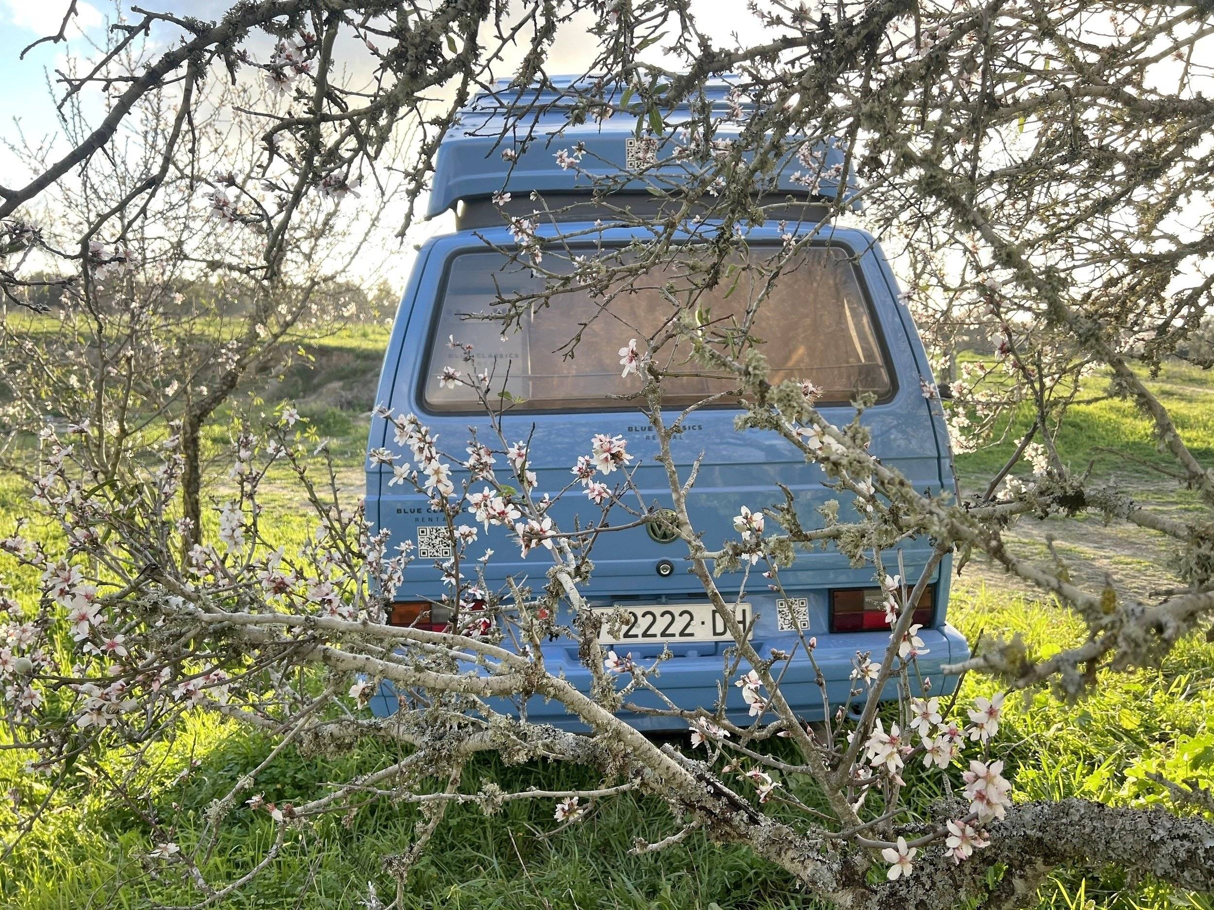 Volkswagen T3