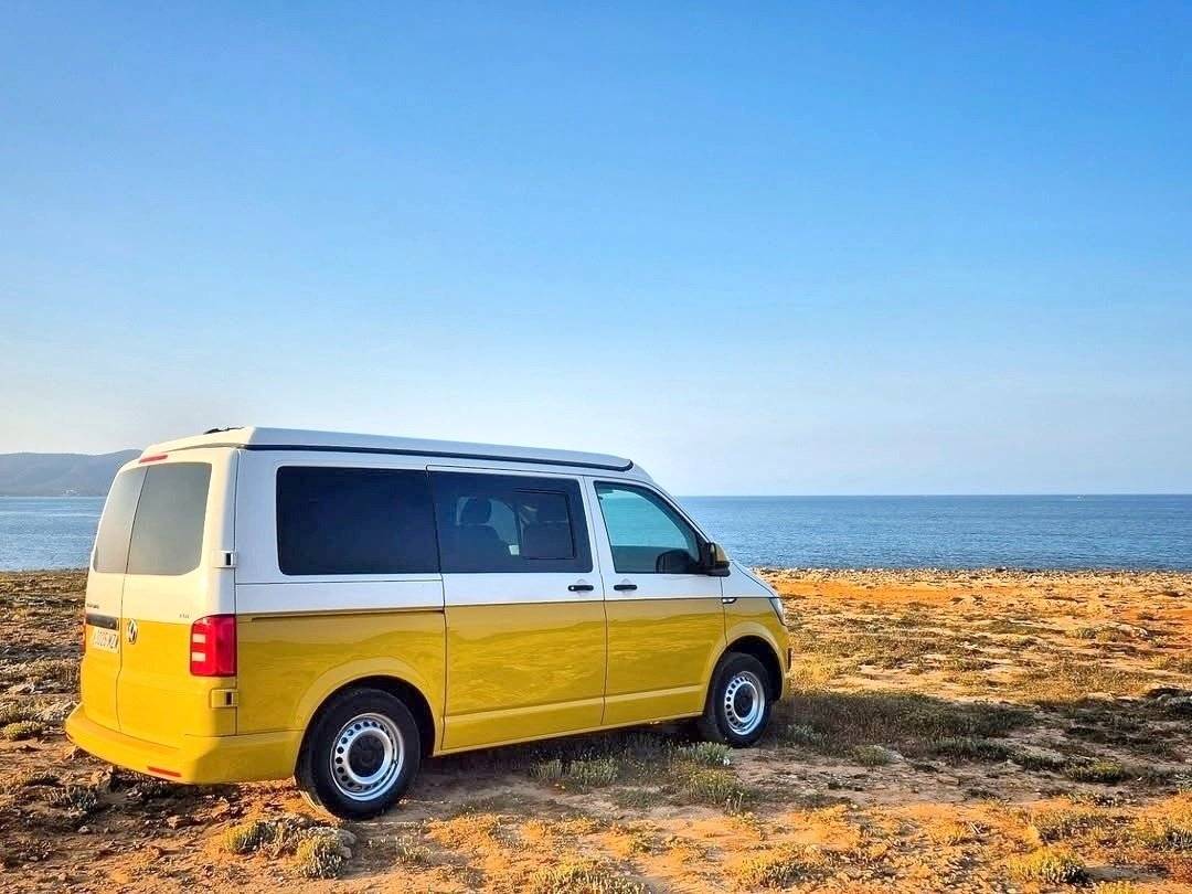 Caracol and friends WAVE 45