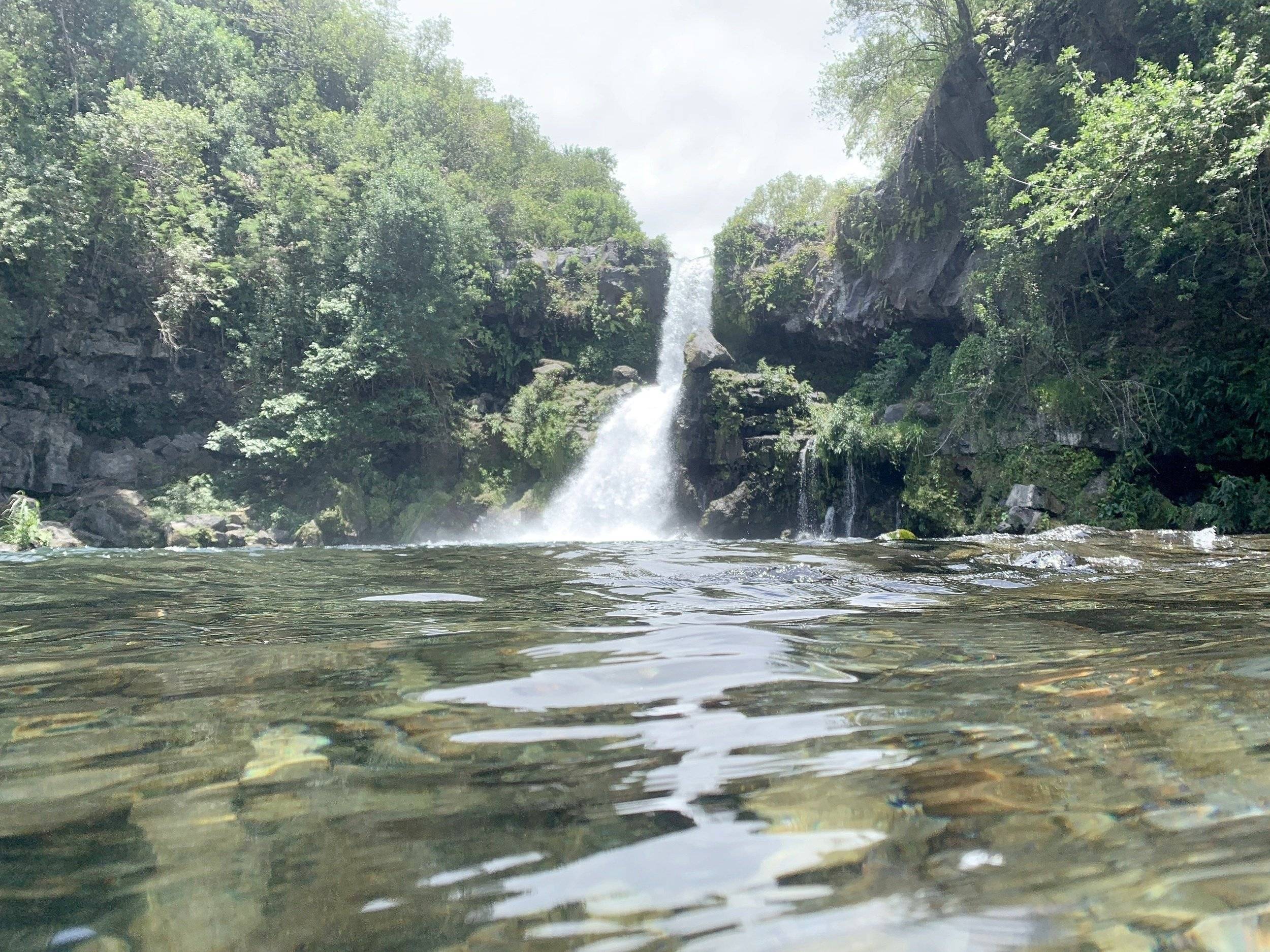 Volkswagen Volkswagen Transporter T5.1