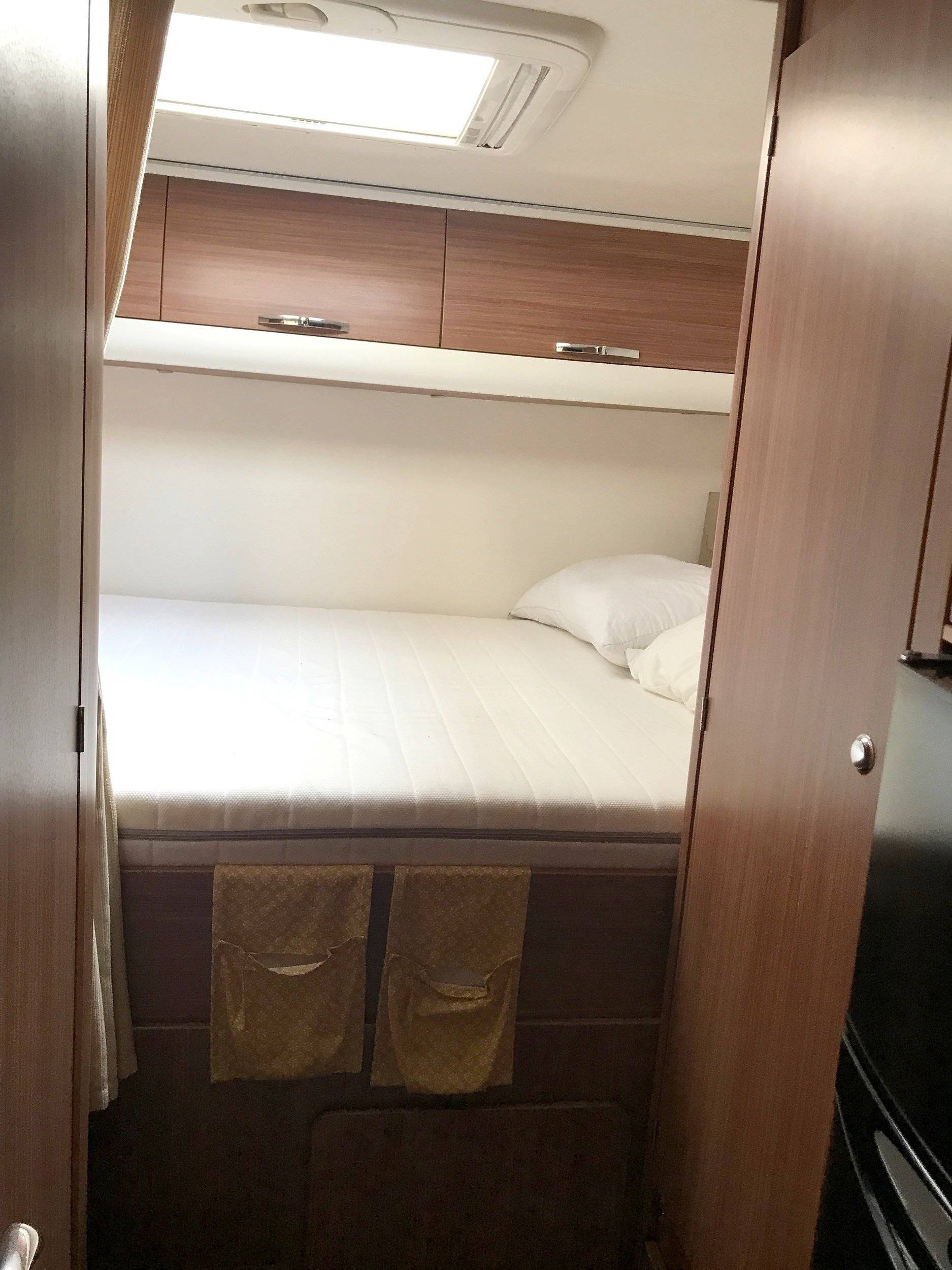 Adria Adria coral   sp660