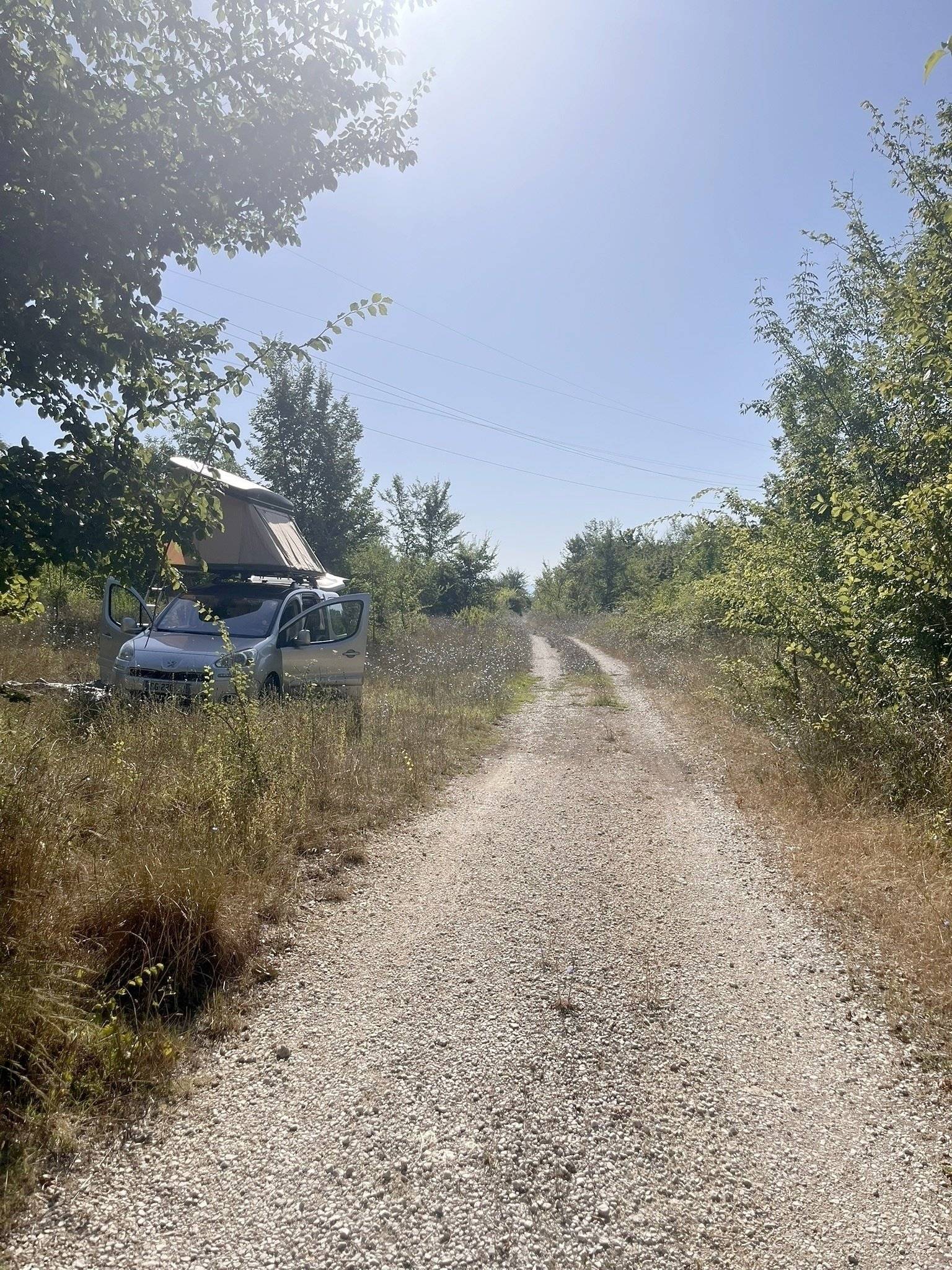 Aucun 