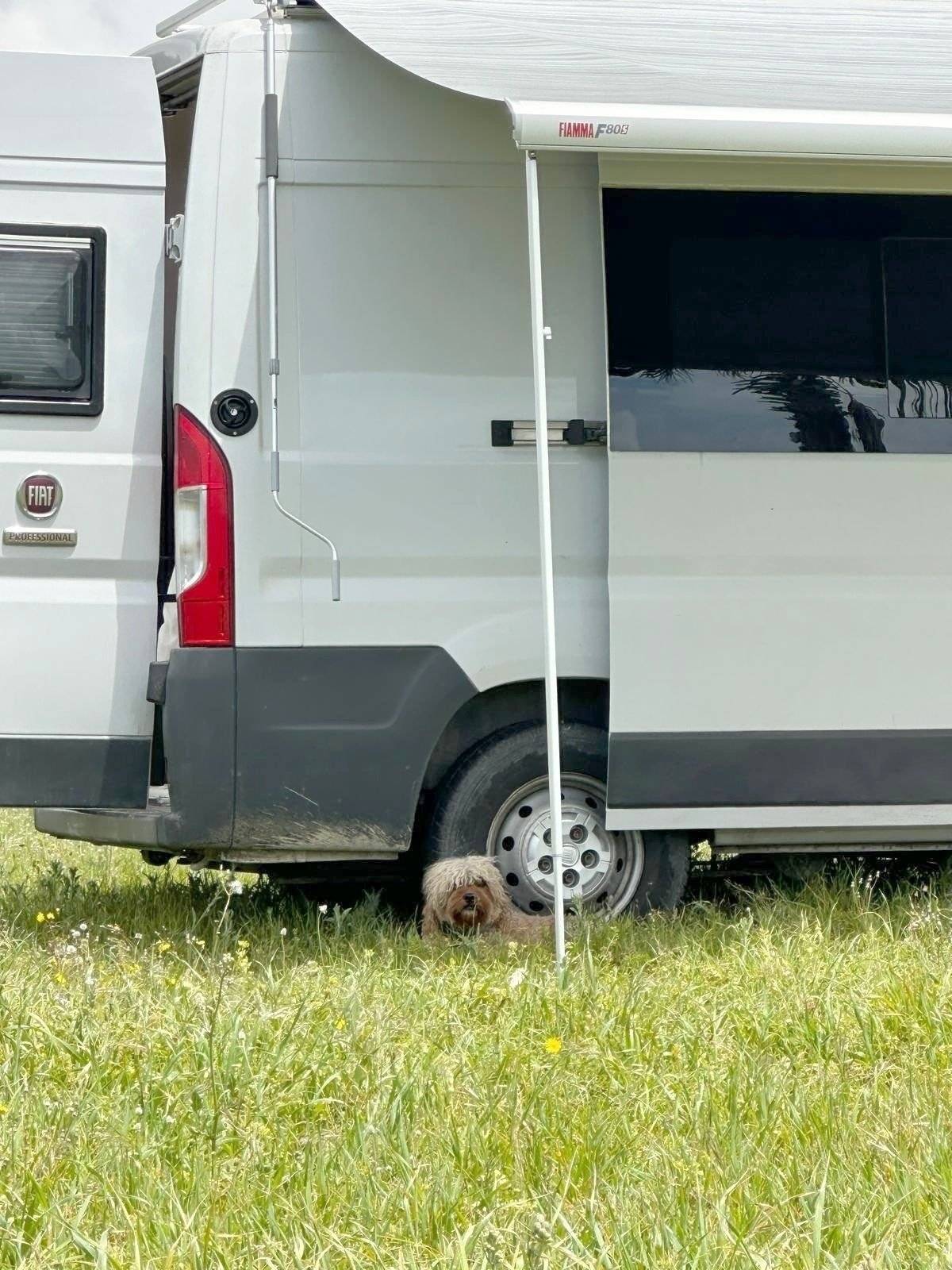 FIAT Fiat Multijet 2   2,3 L   150 CV